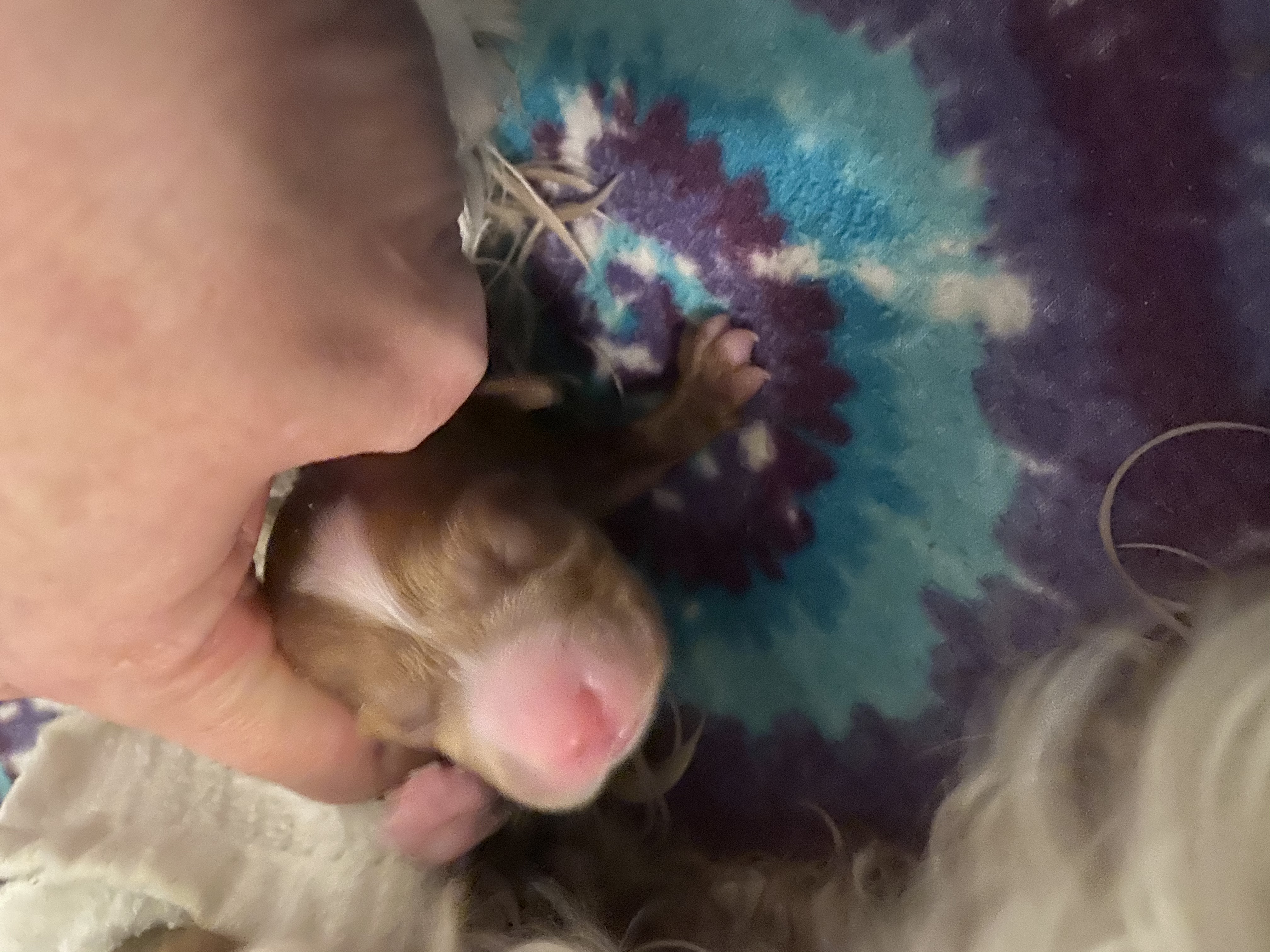 First baby