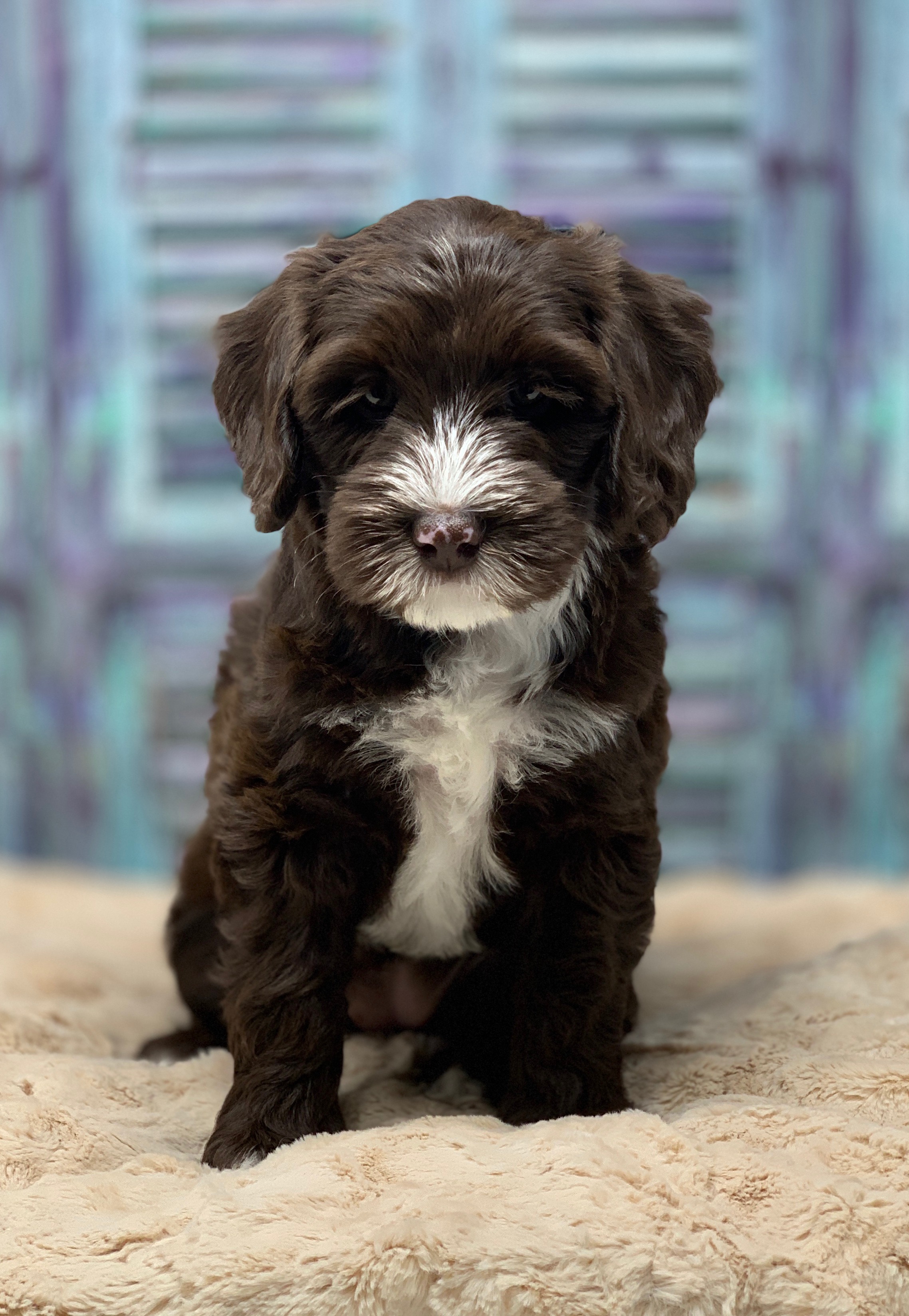 Charlie