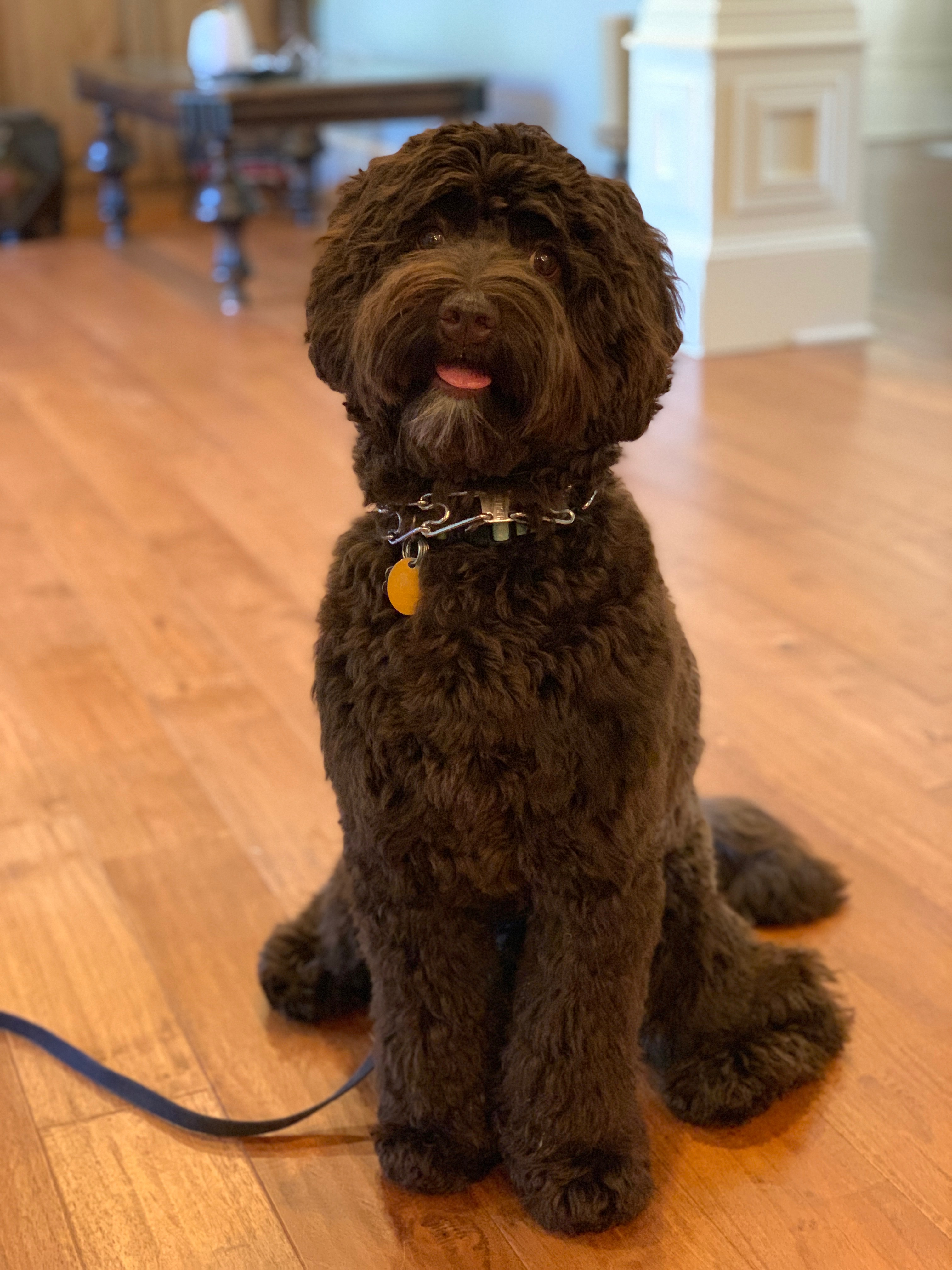 Just passed his CGC Exam!