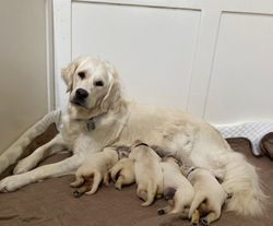 Family Photo