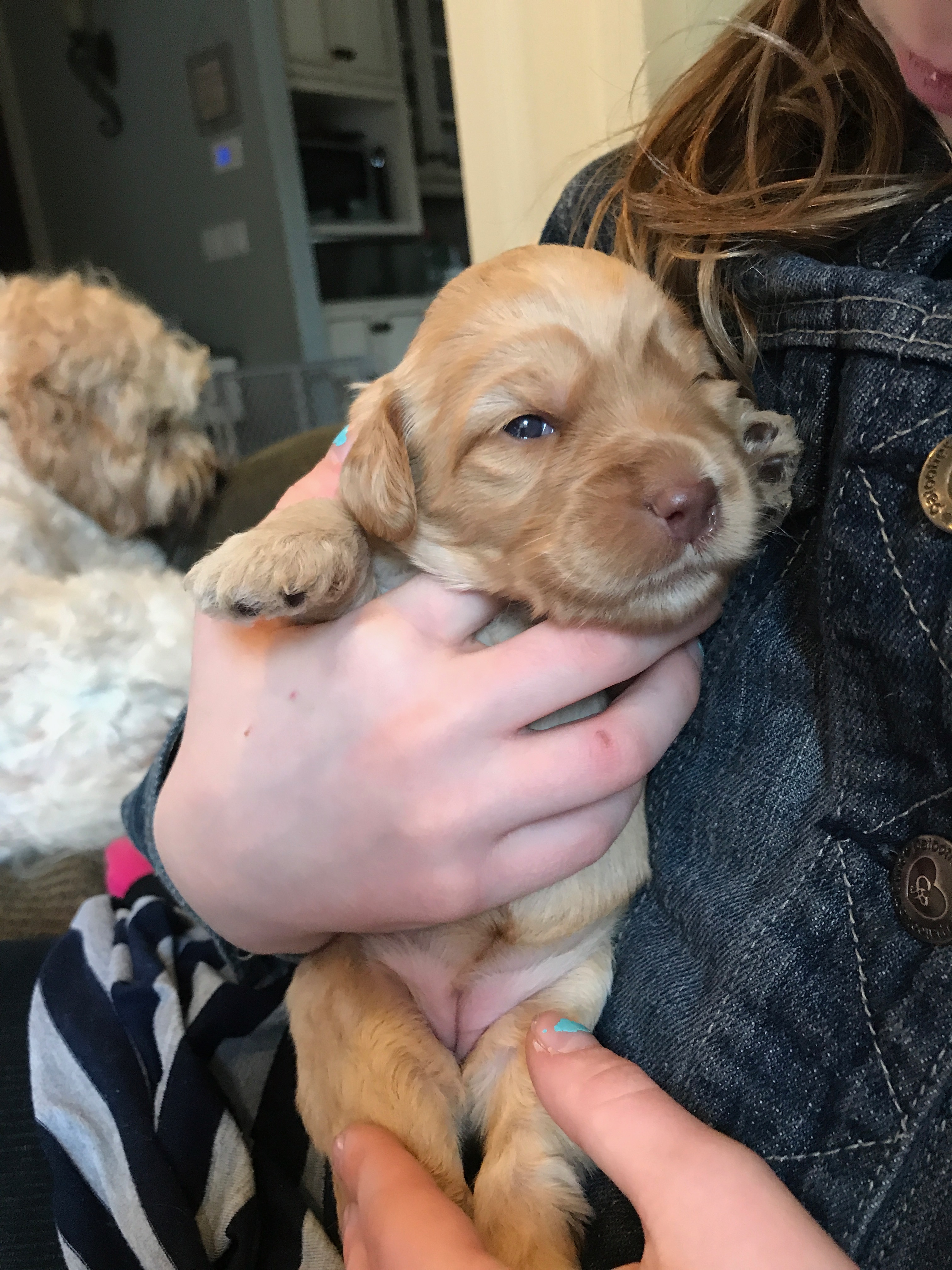 First view! Eyes just opened