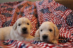 IMG_0104_zpsf6099c55