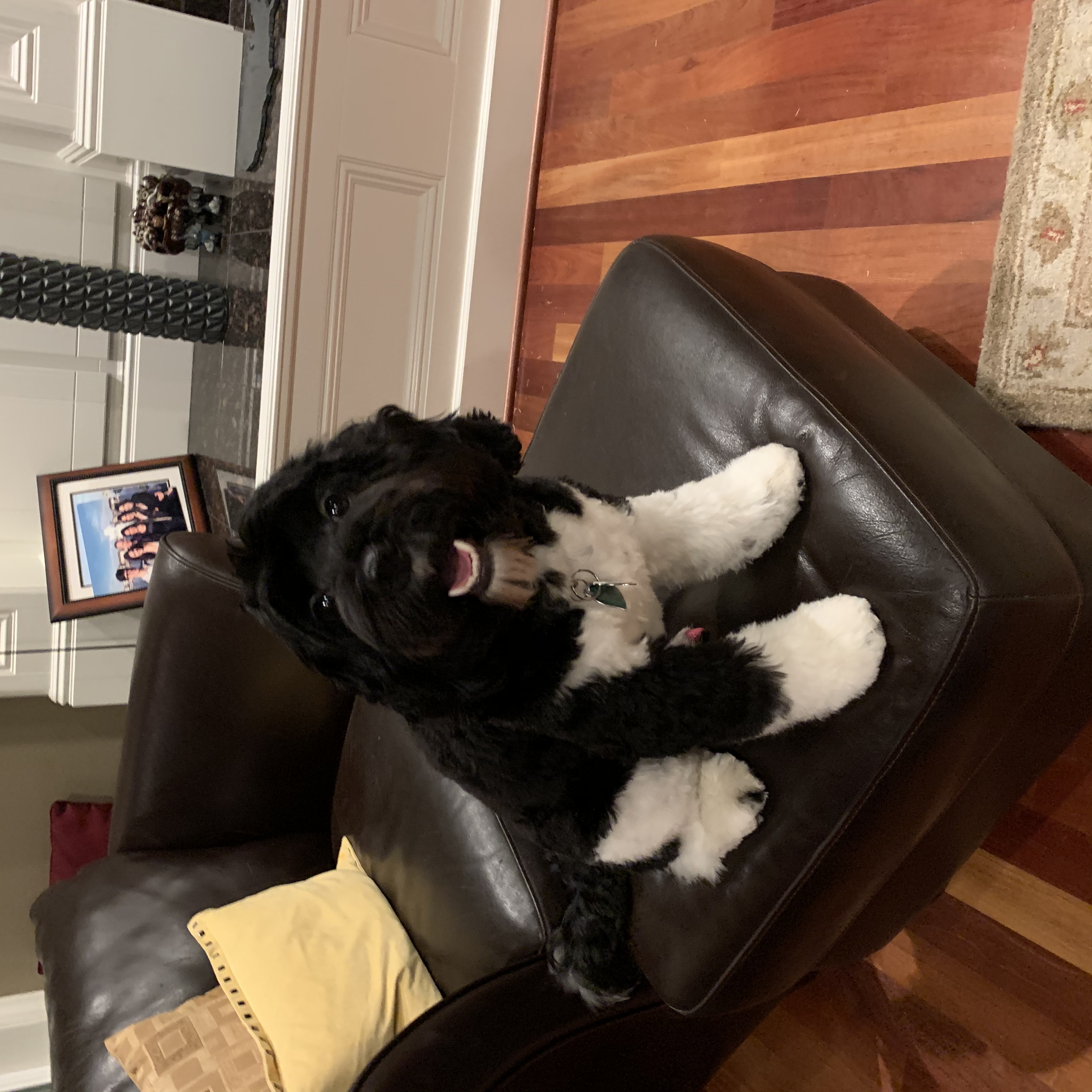 Giorgio