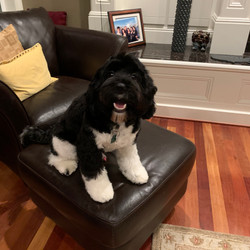 Giorgio