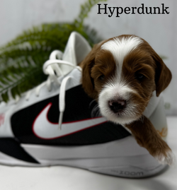 1755201020.633174-CBB1DD8B-072C-4AD1-9446-1229E4AD3493