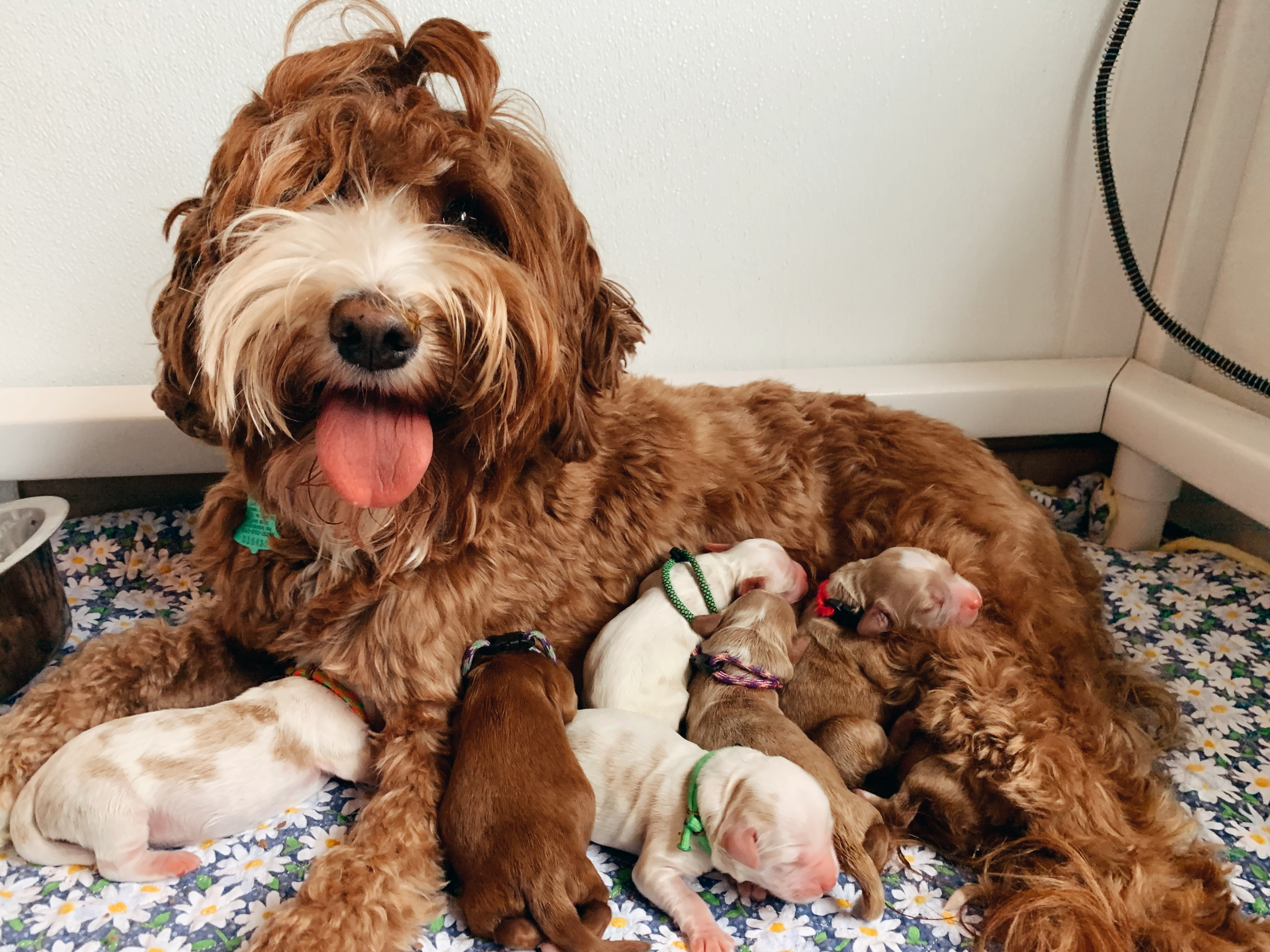 Happy Mama ❤️