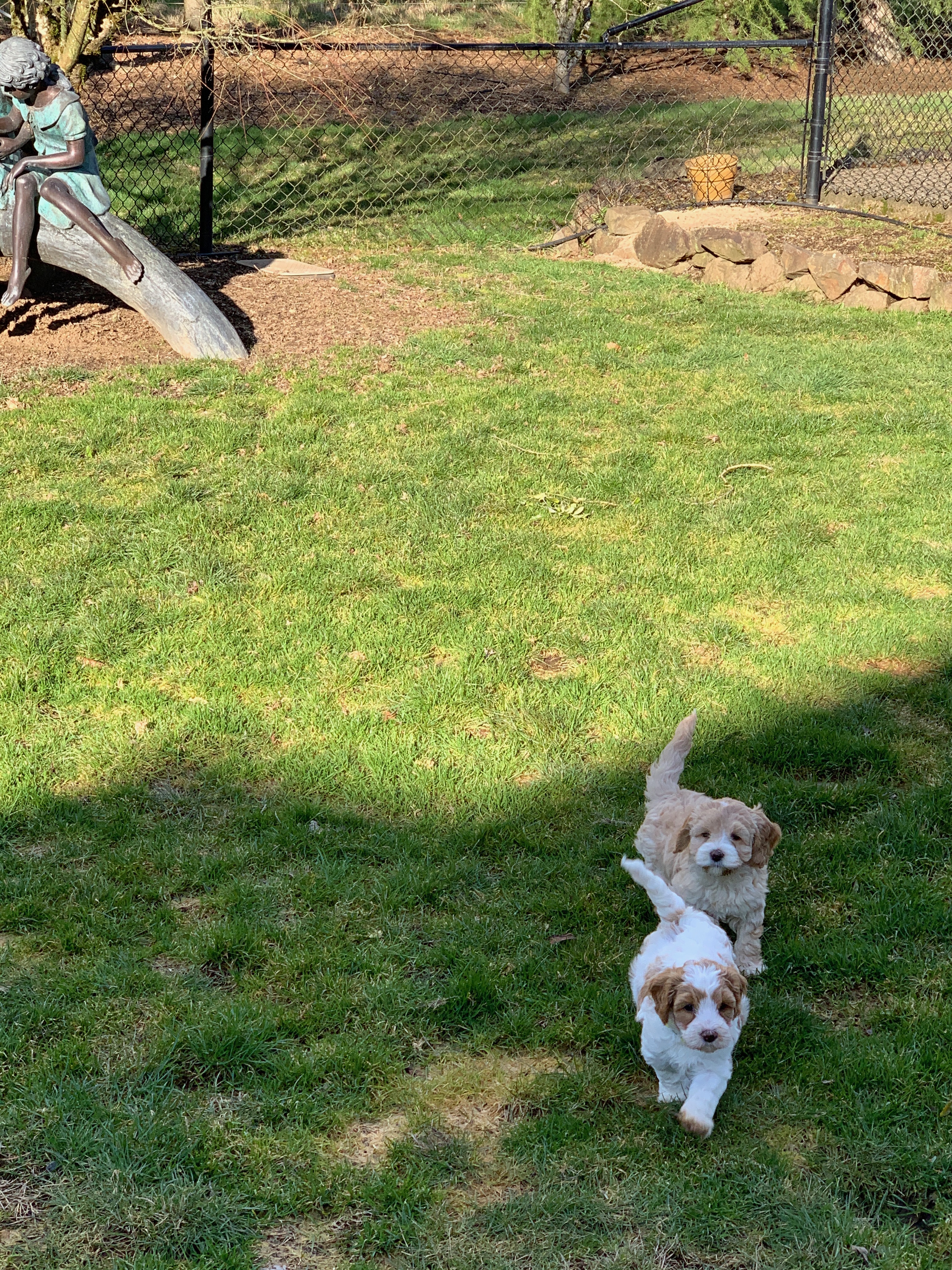 Outside time!