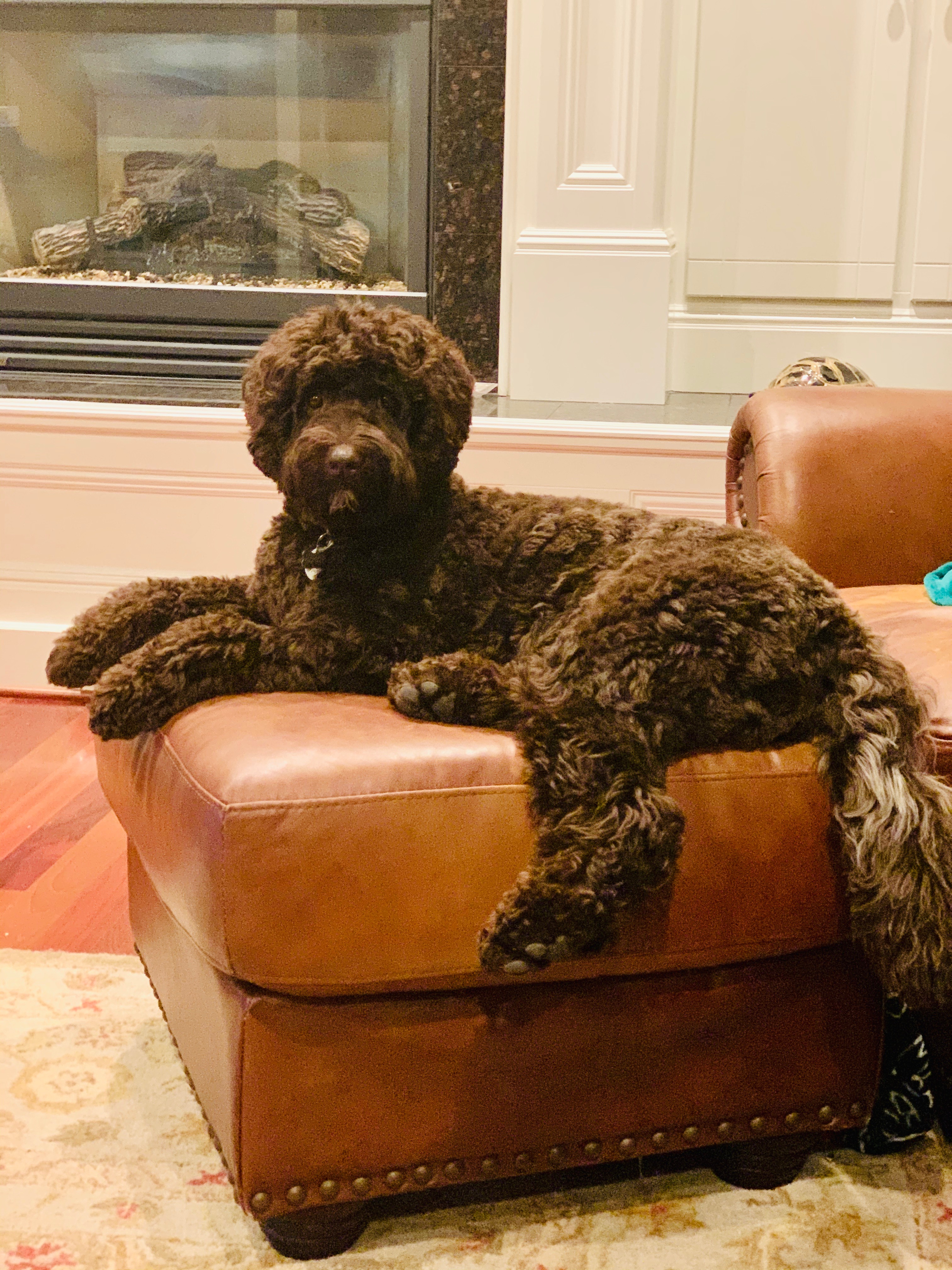 Kona