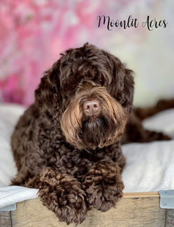 Image 5-10-22 at 1.33 PM (1)