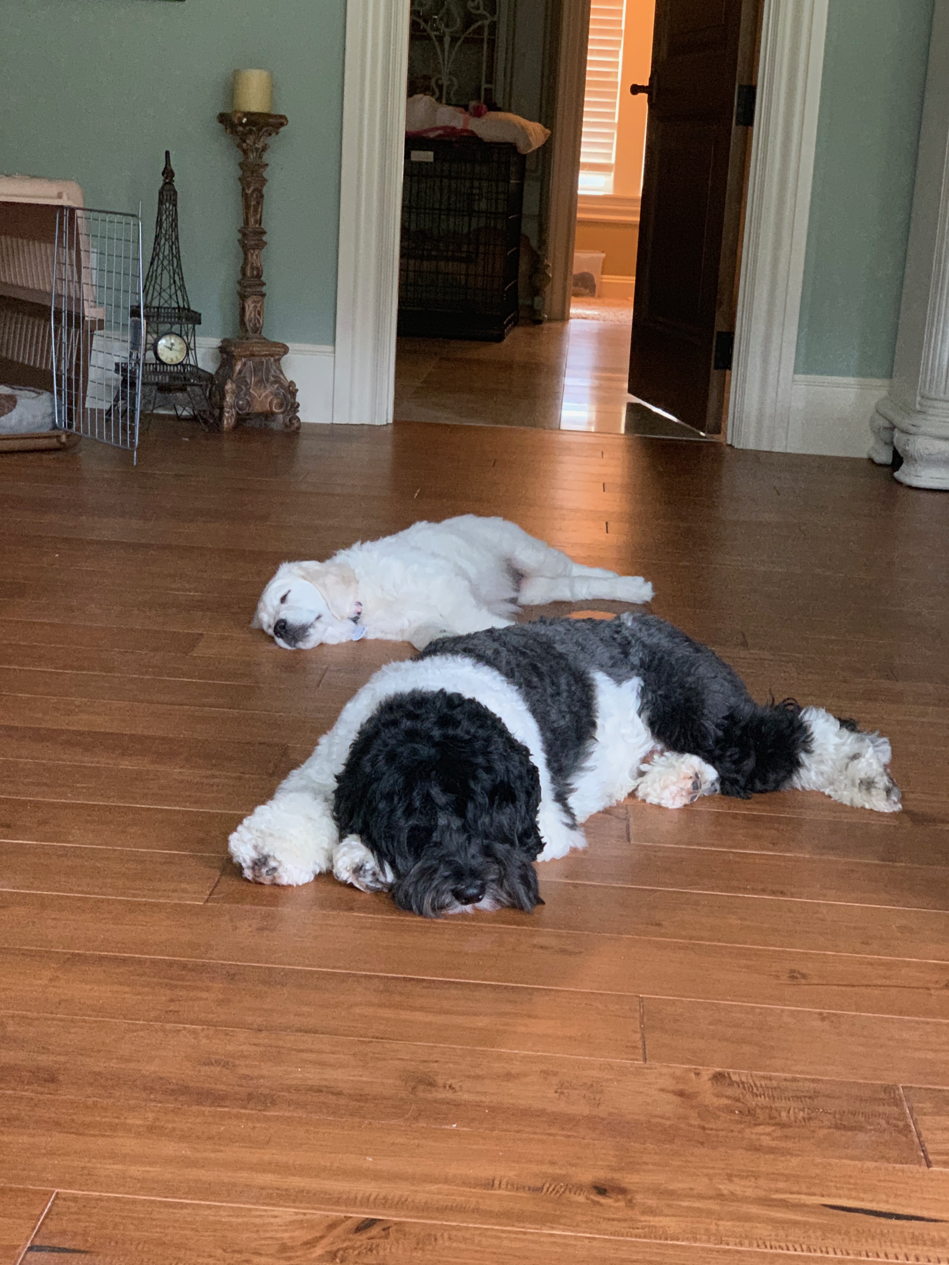 Slick keeping Millie away