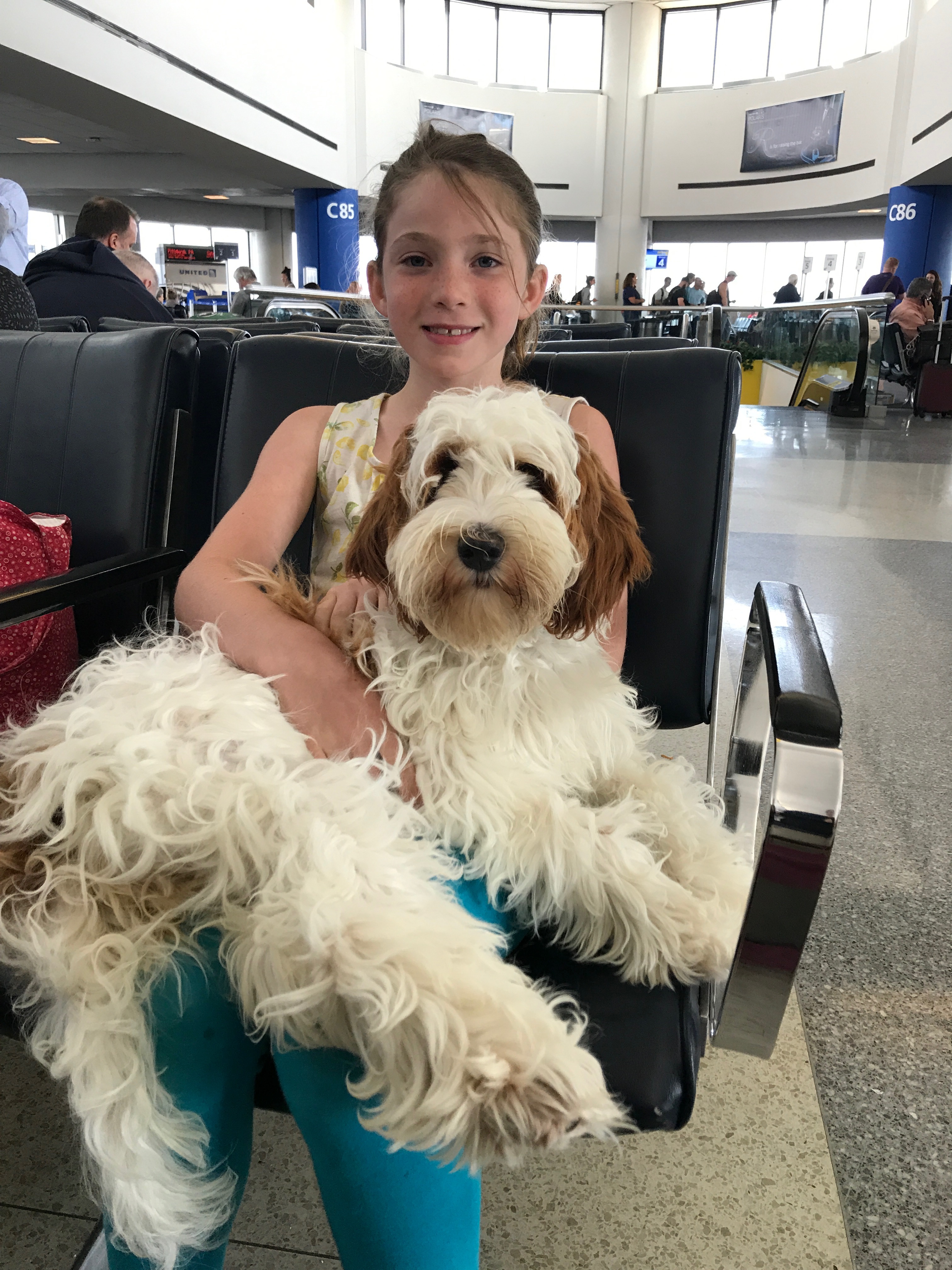 NY Airport