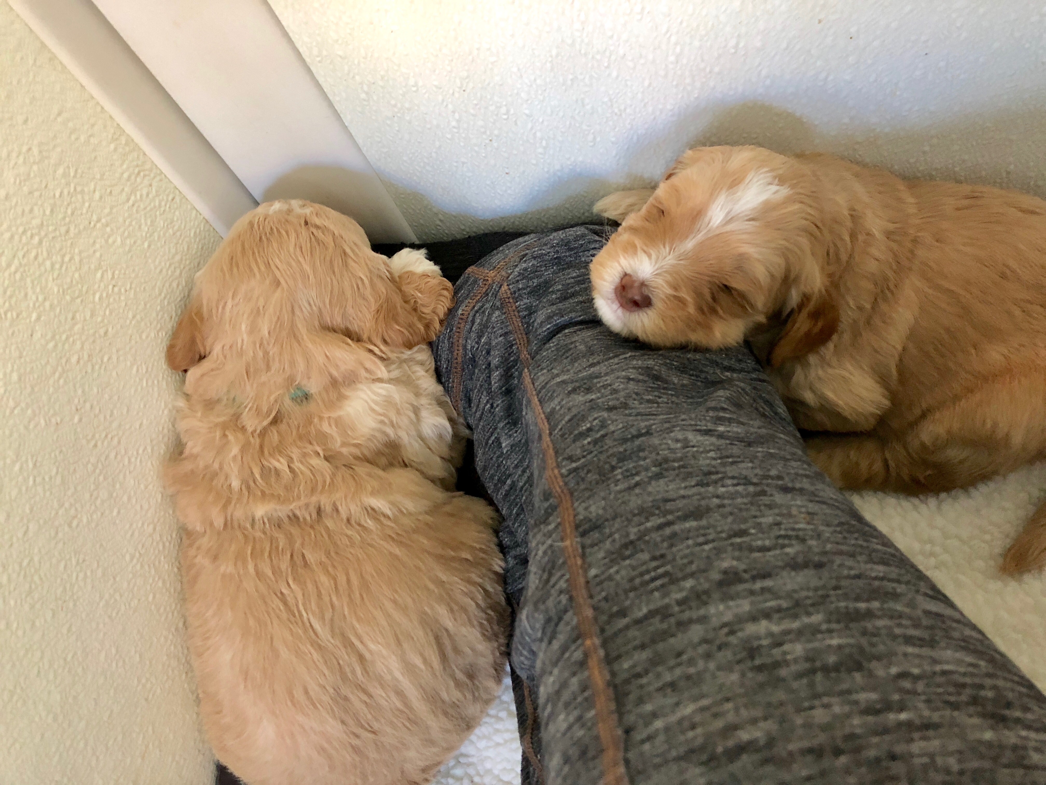 Snuggling