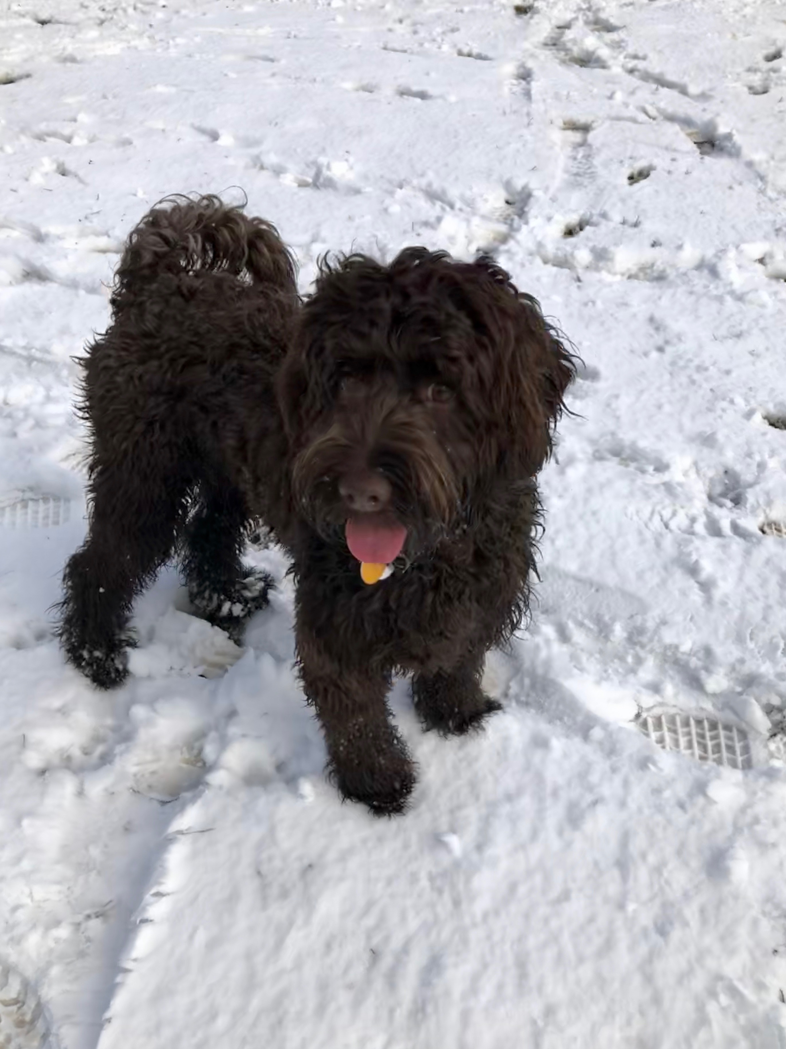 Snow day!