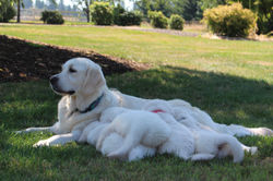 IMG_6511_zps8162257a