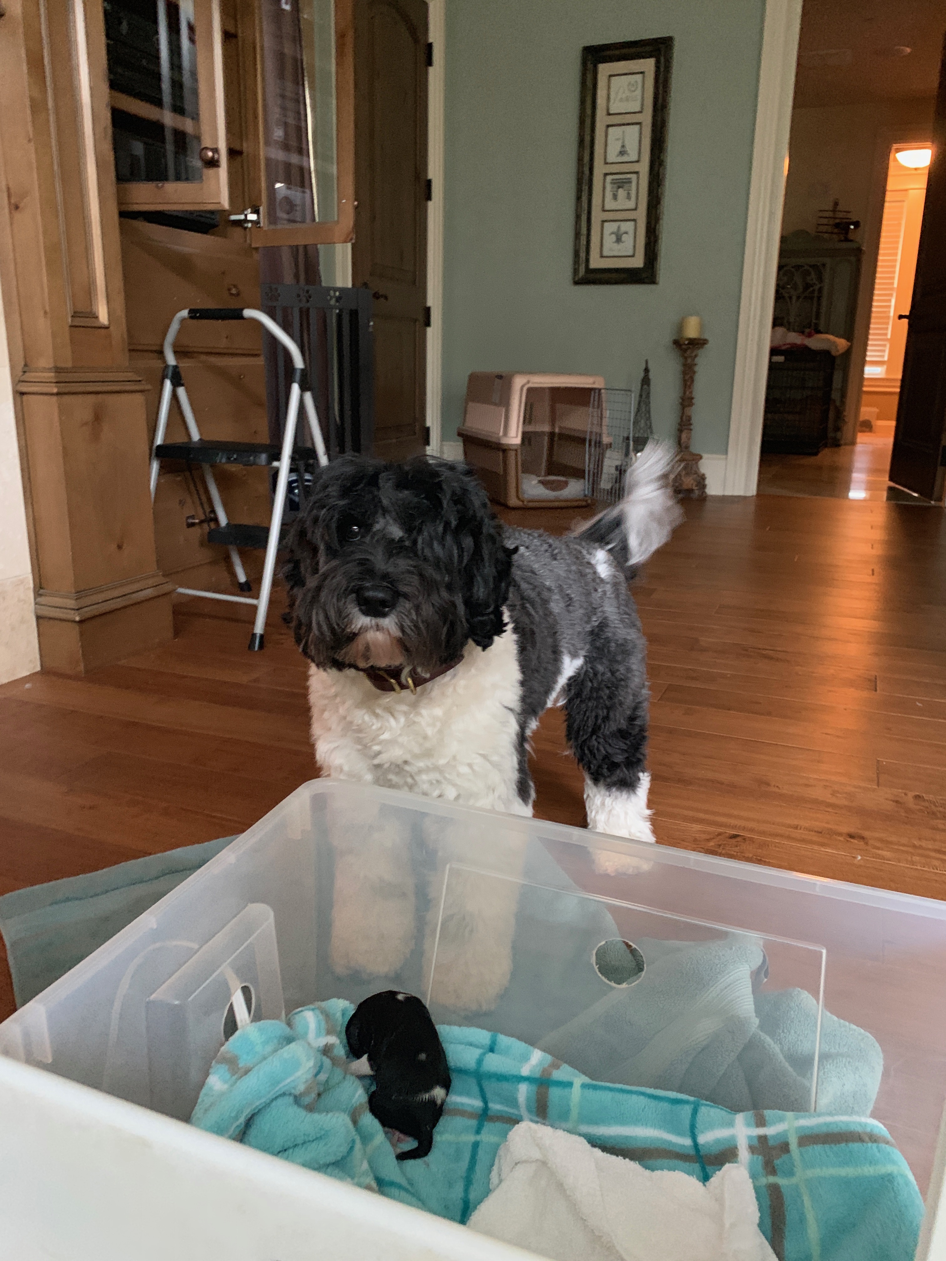 Checking things out