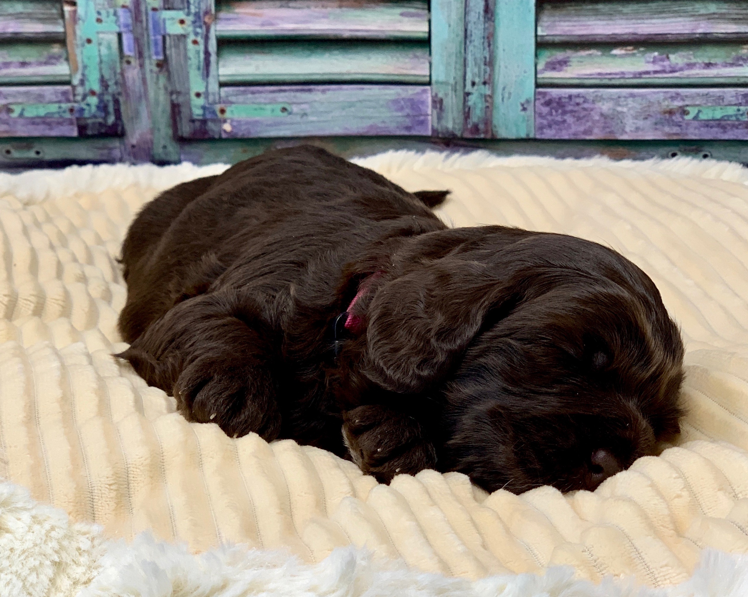 Sleepy baby