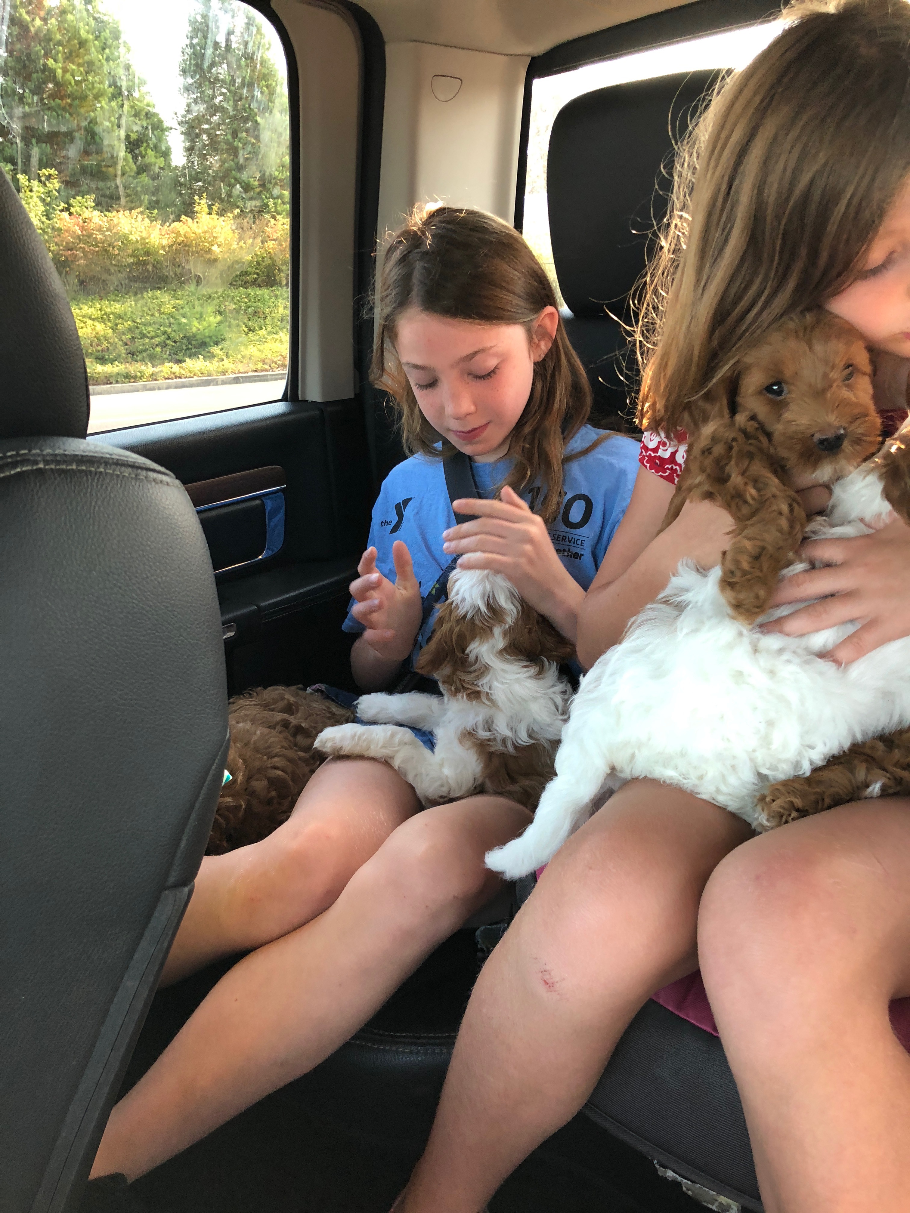 On Our Way To The Vet
