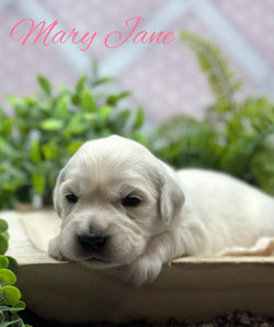 1715125907.9947062-F57772CD-BB6F-48C4-99CC-DB8117C53DCE