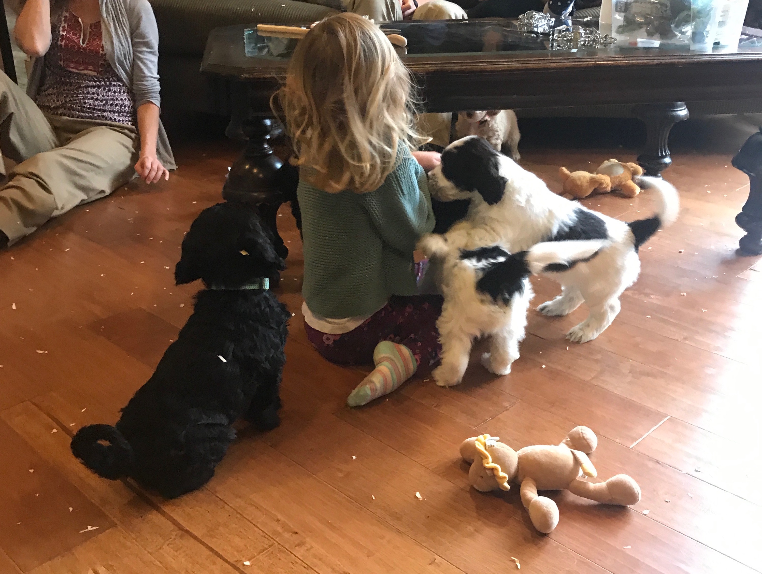 Puppies loving on little ones