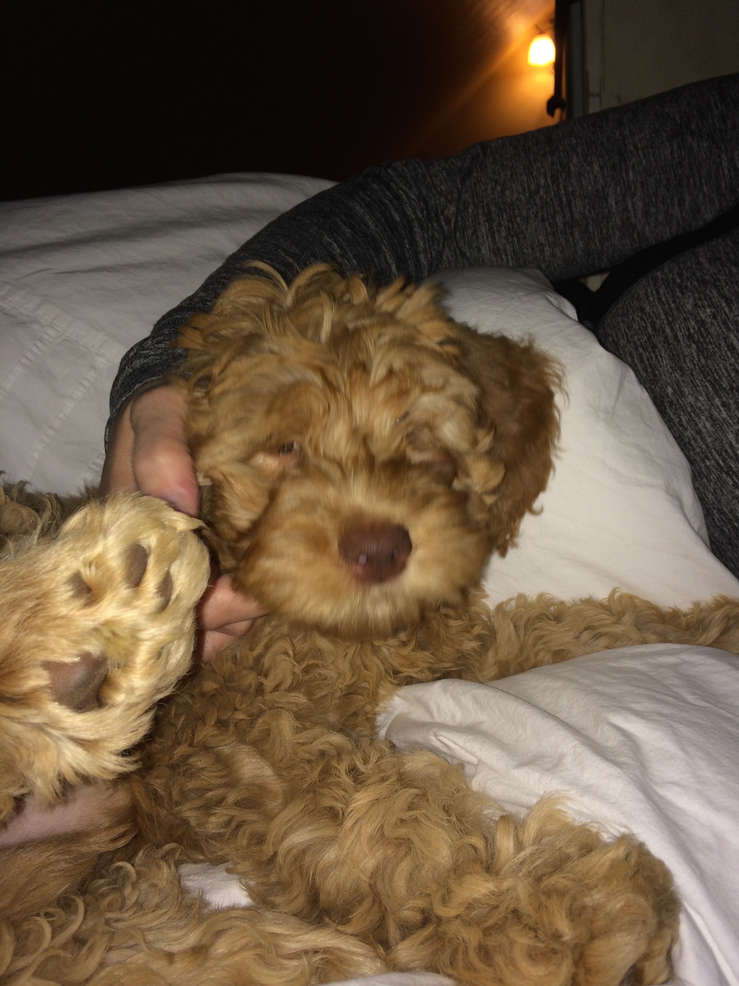Snuggle time