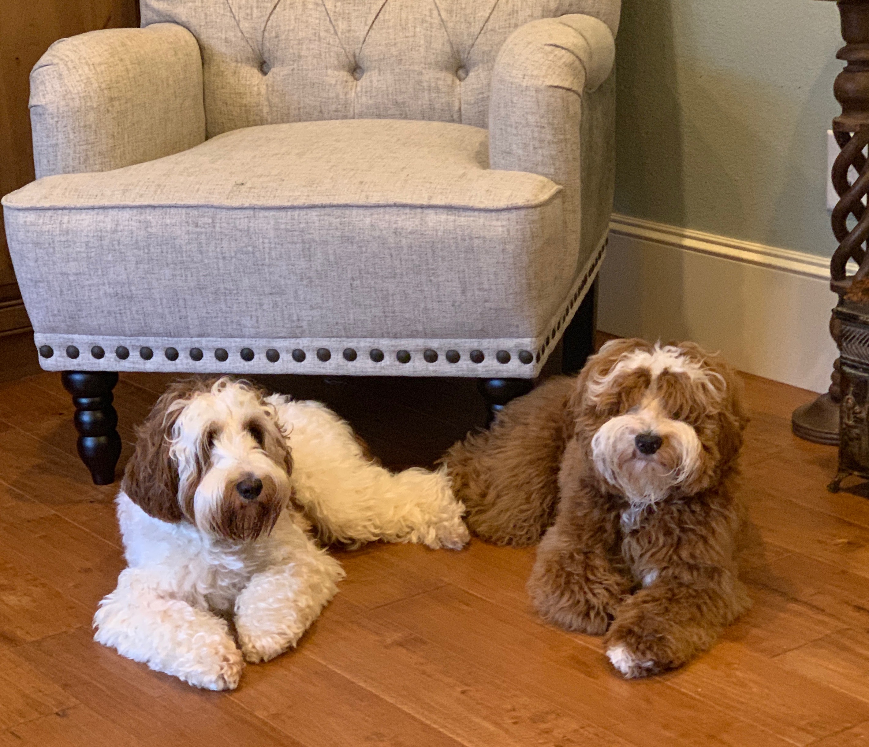 Ruby x Hudson