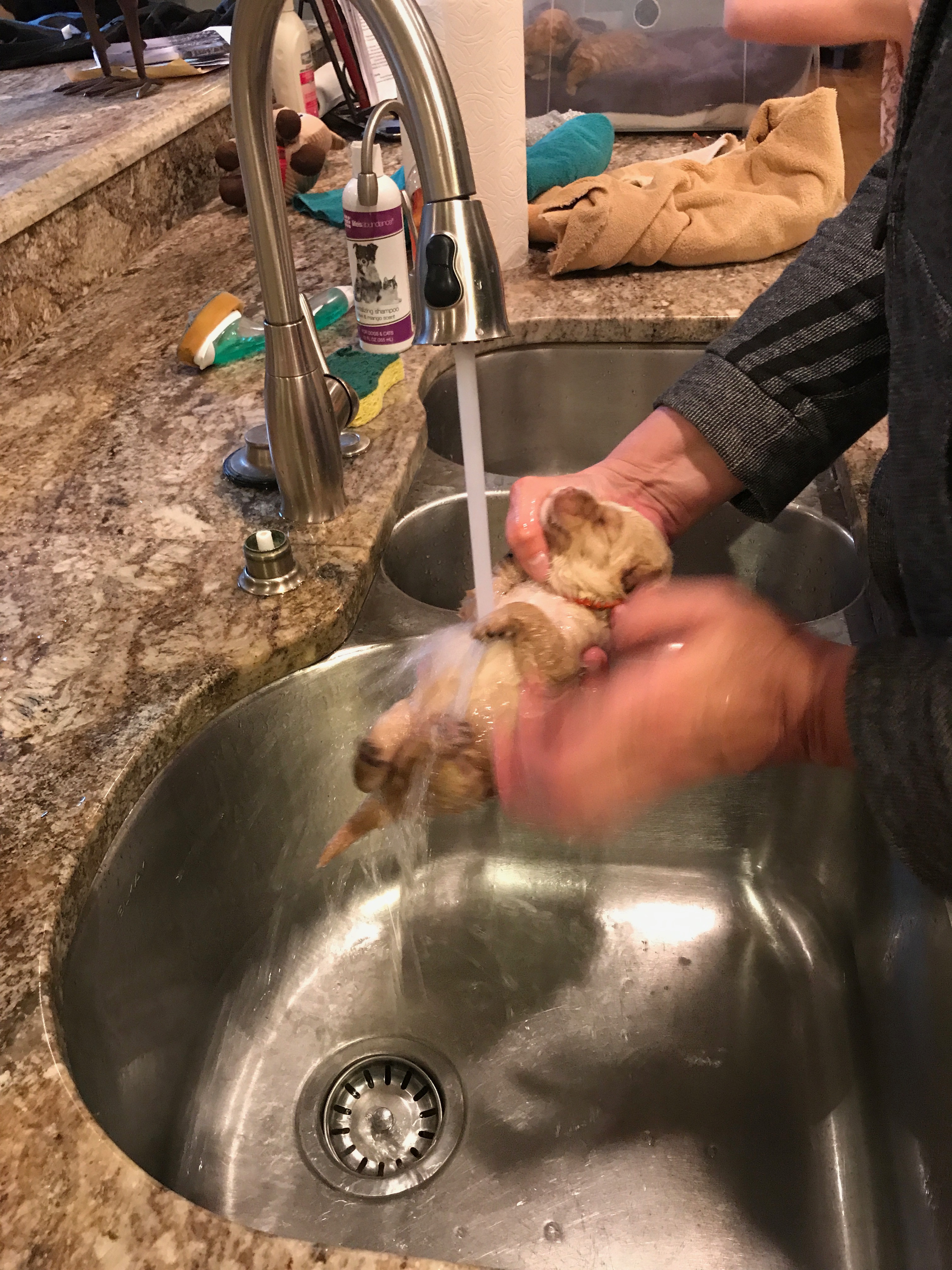 First bath