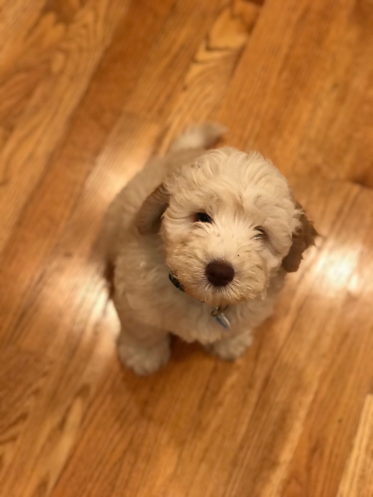 You called me?