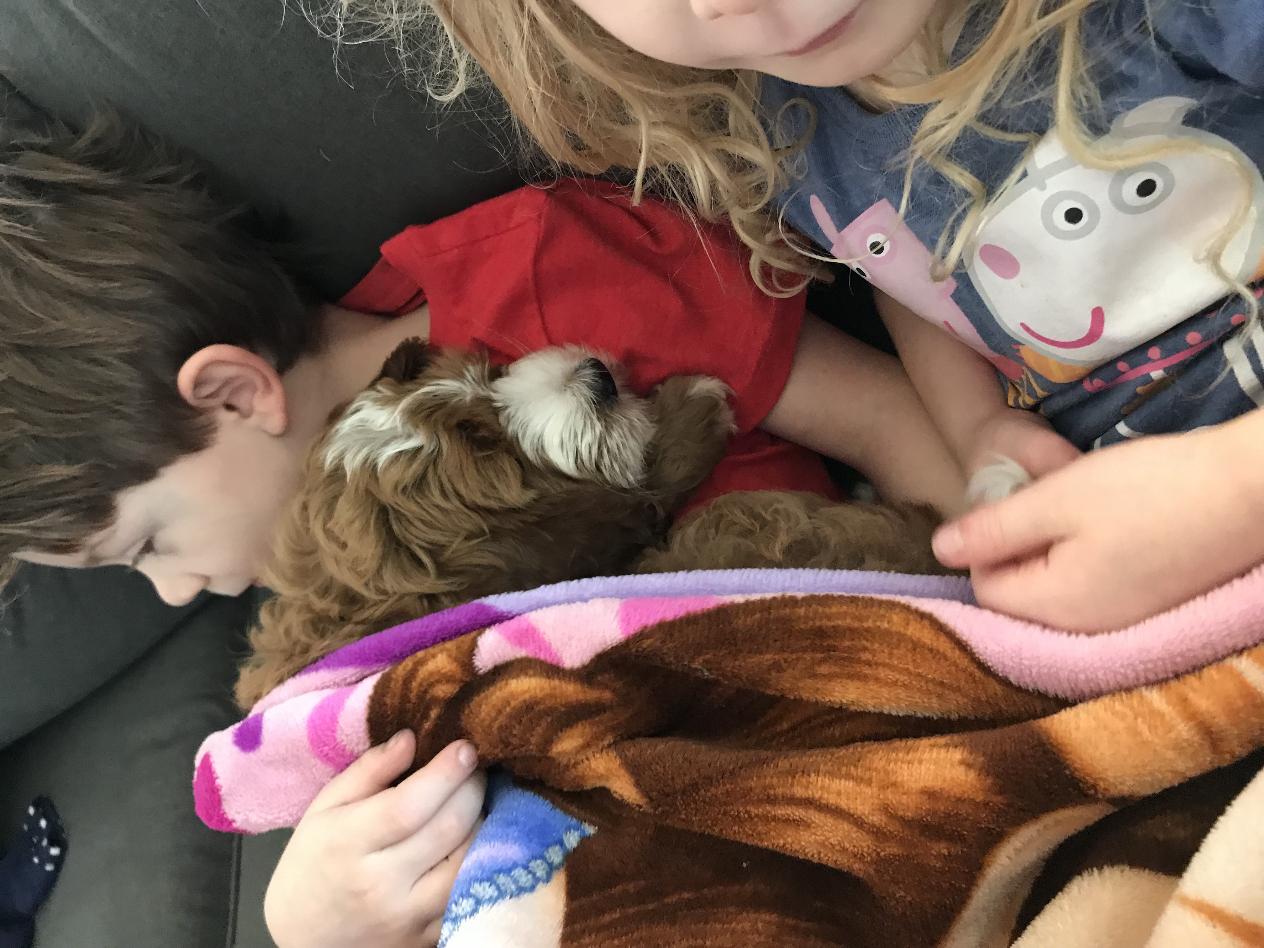 Puppy LOVE