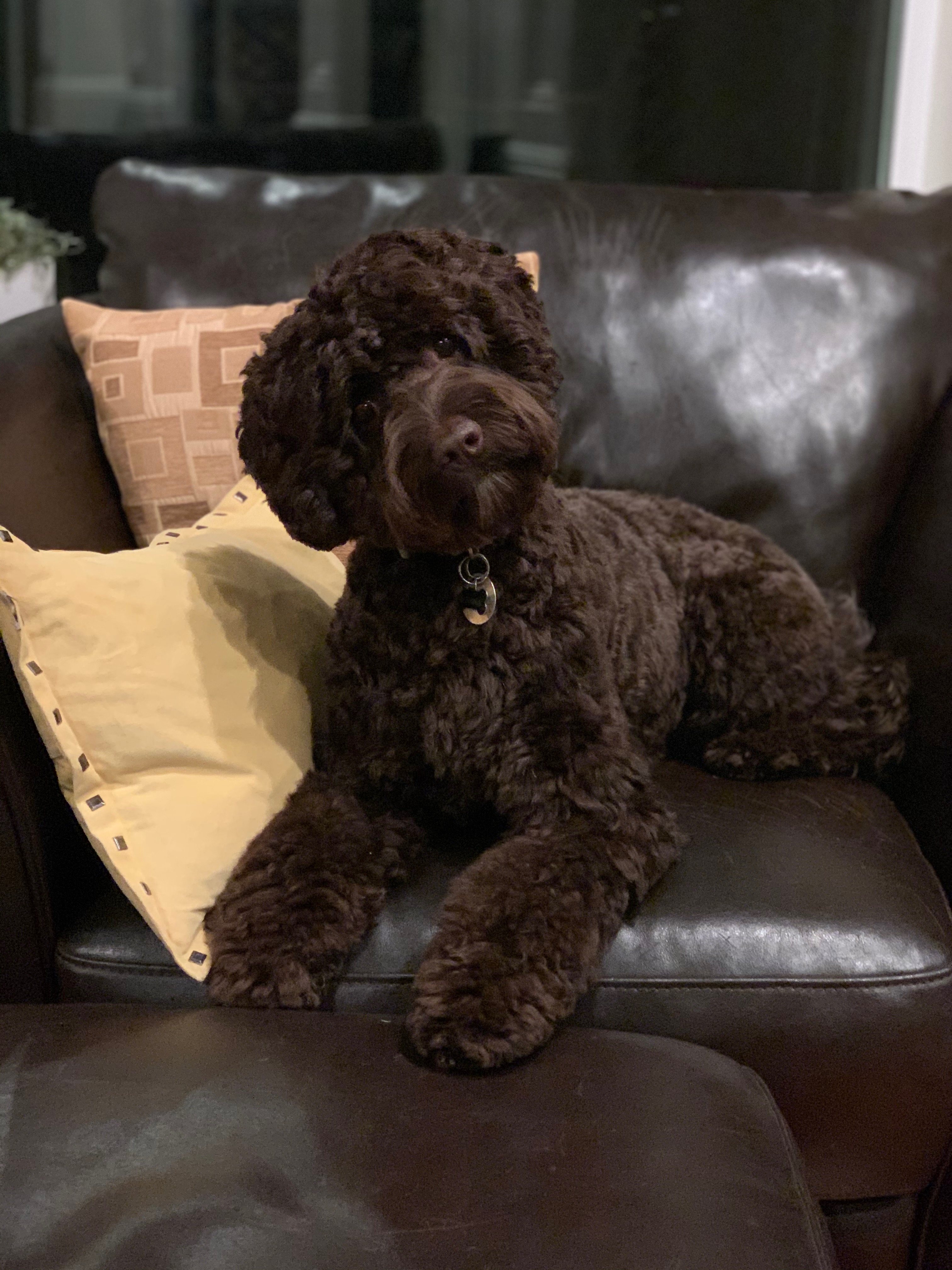 Kona