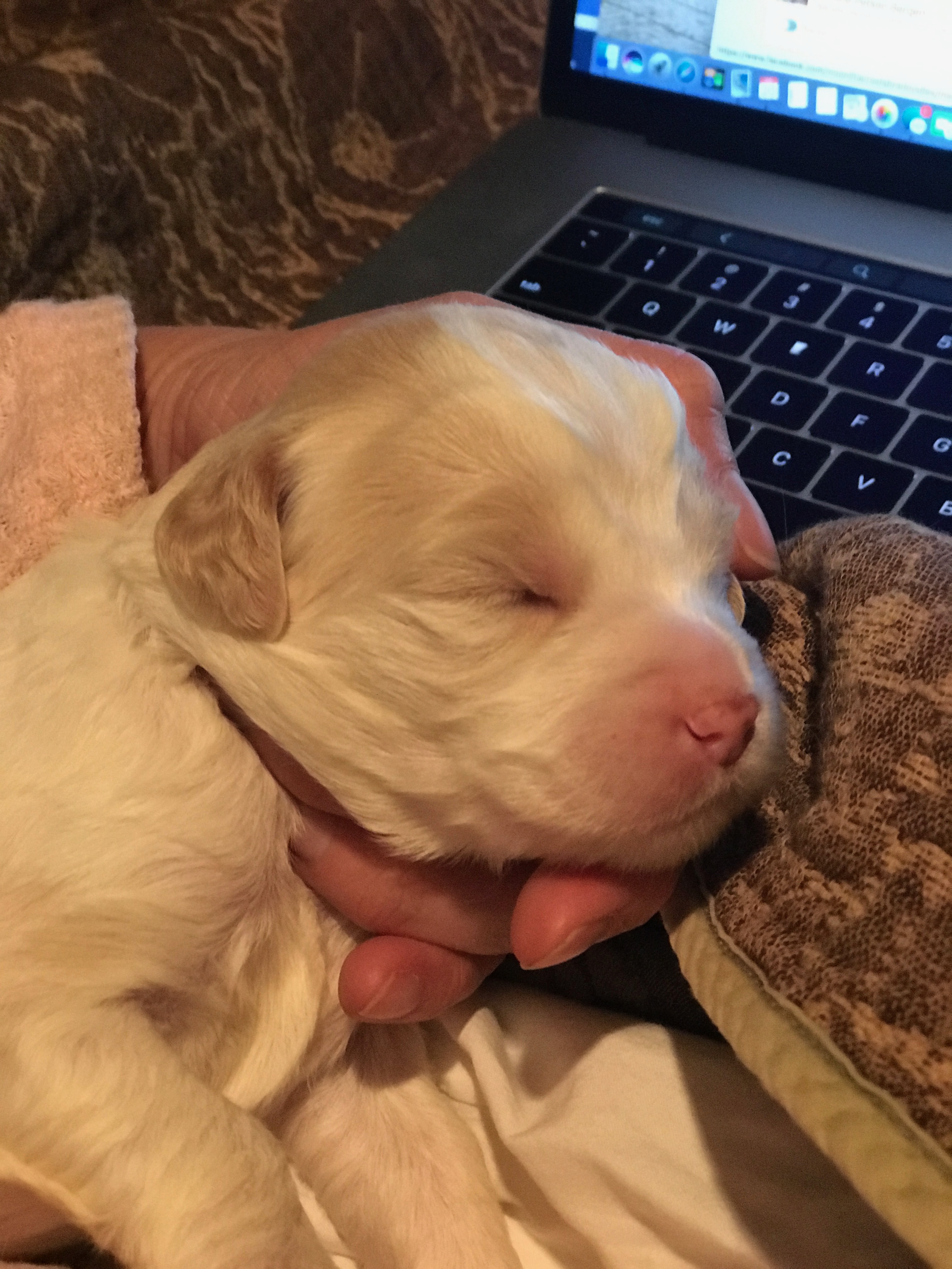 Ms. Daisy