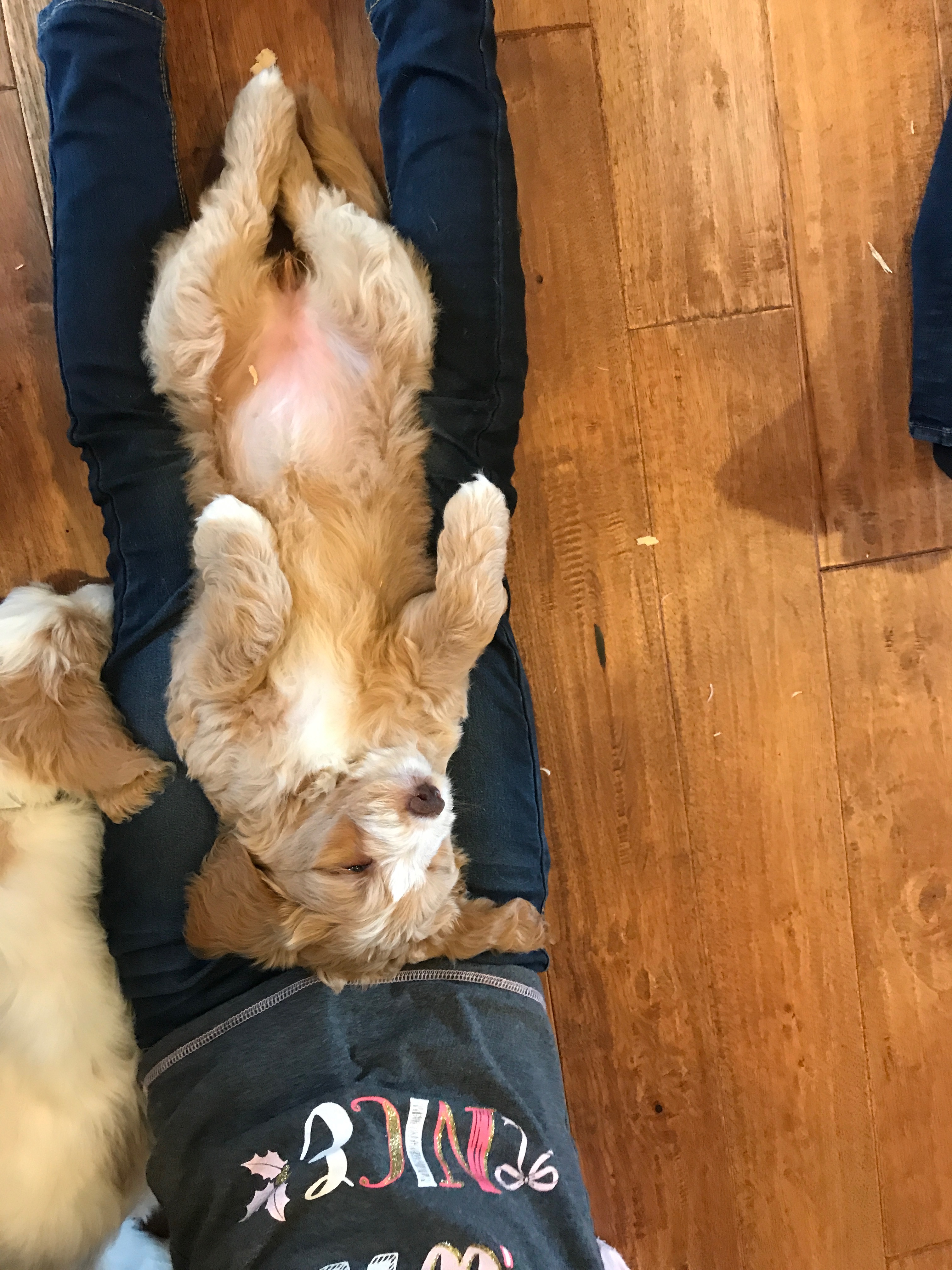 Relaxed