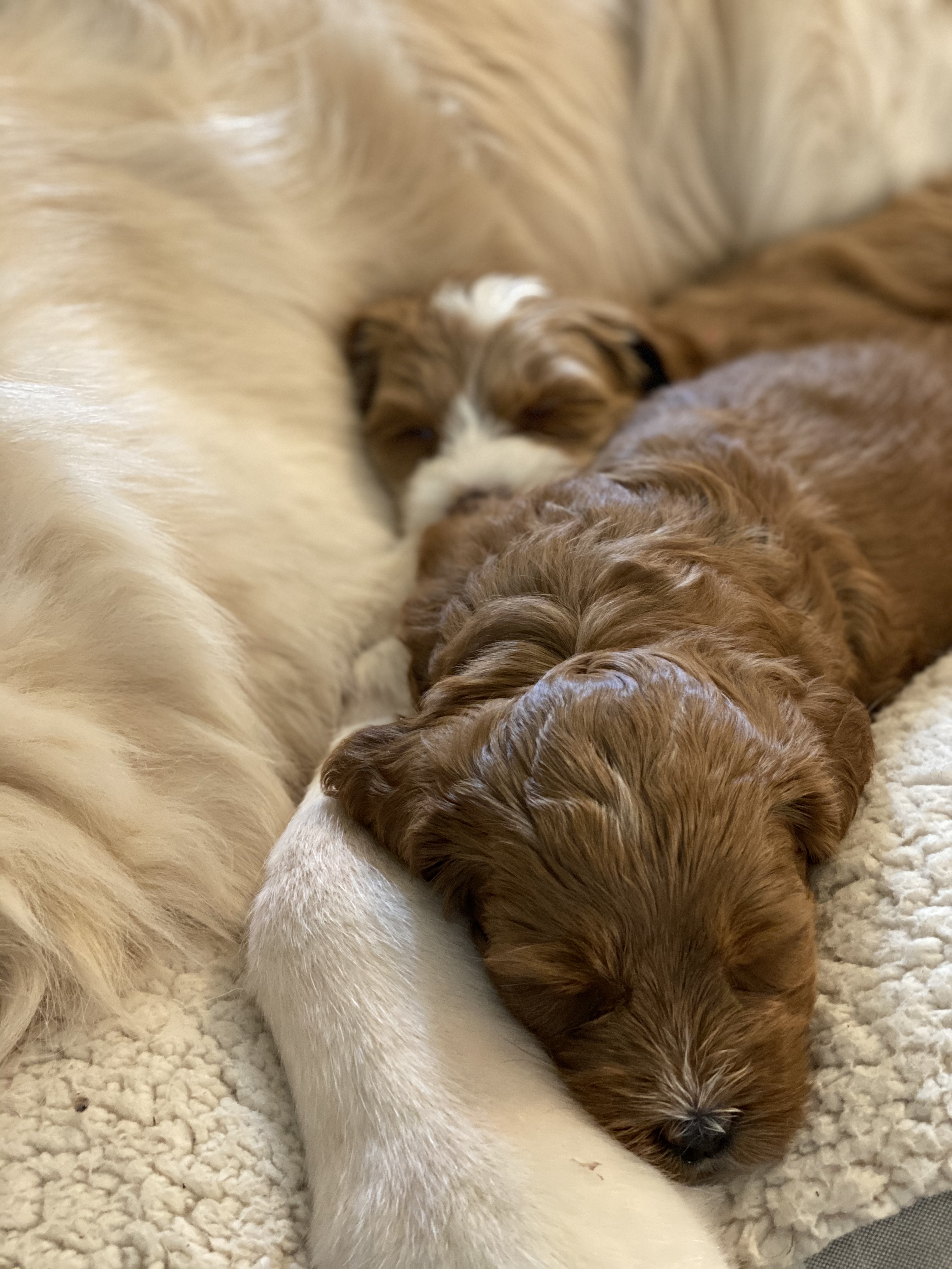 Nap time