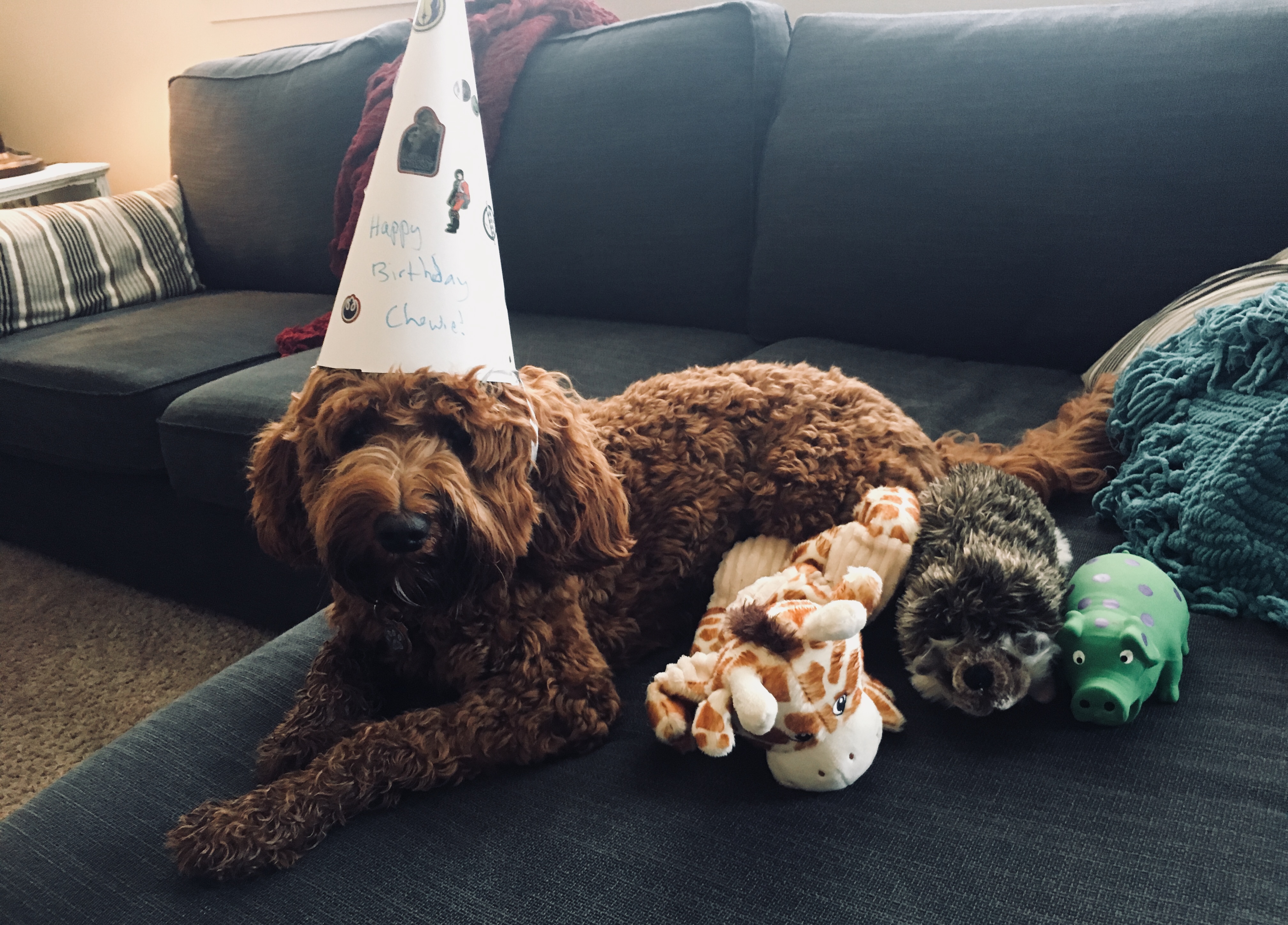 Party Time!