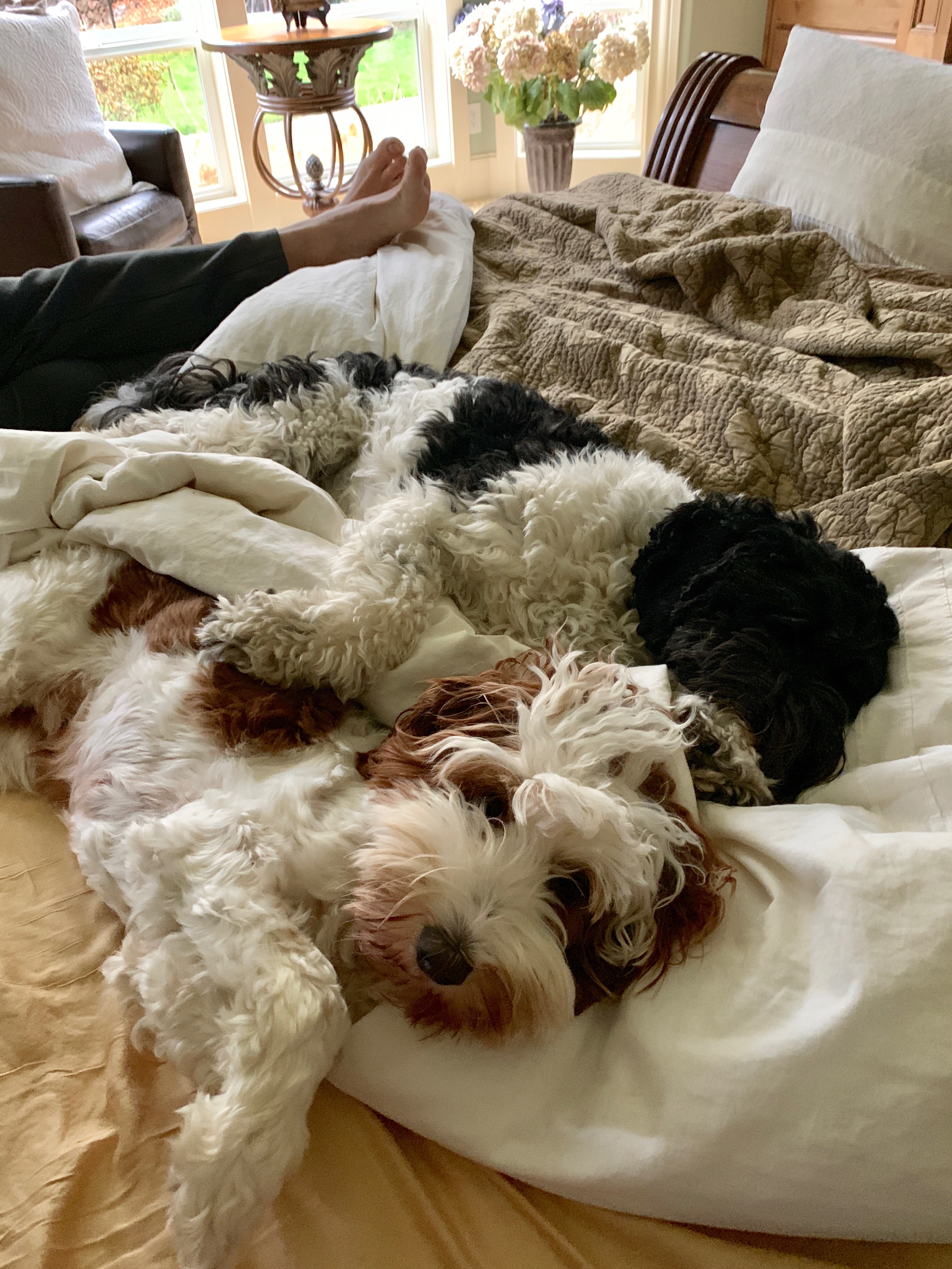 Snuggle Time