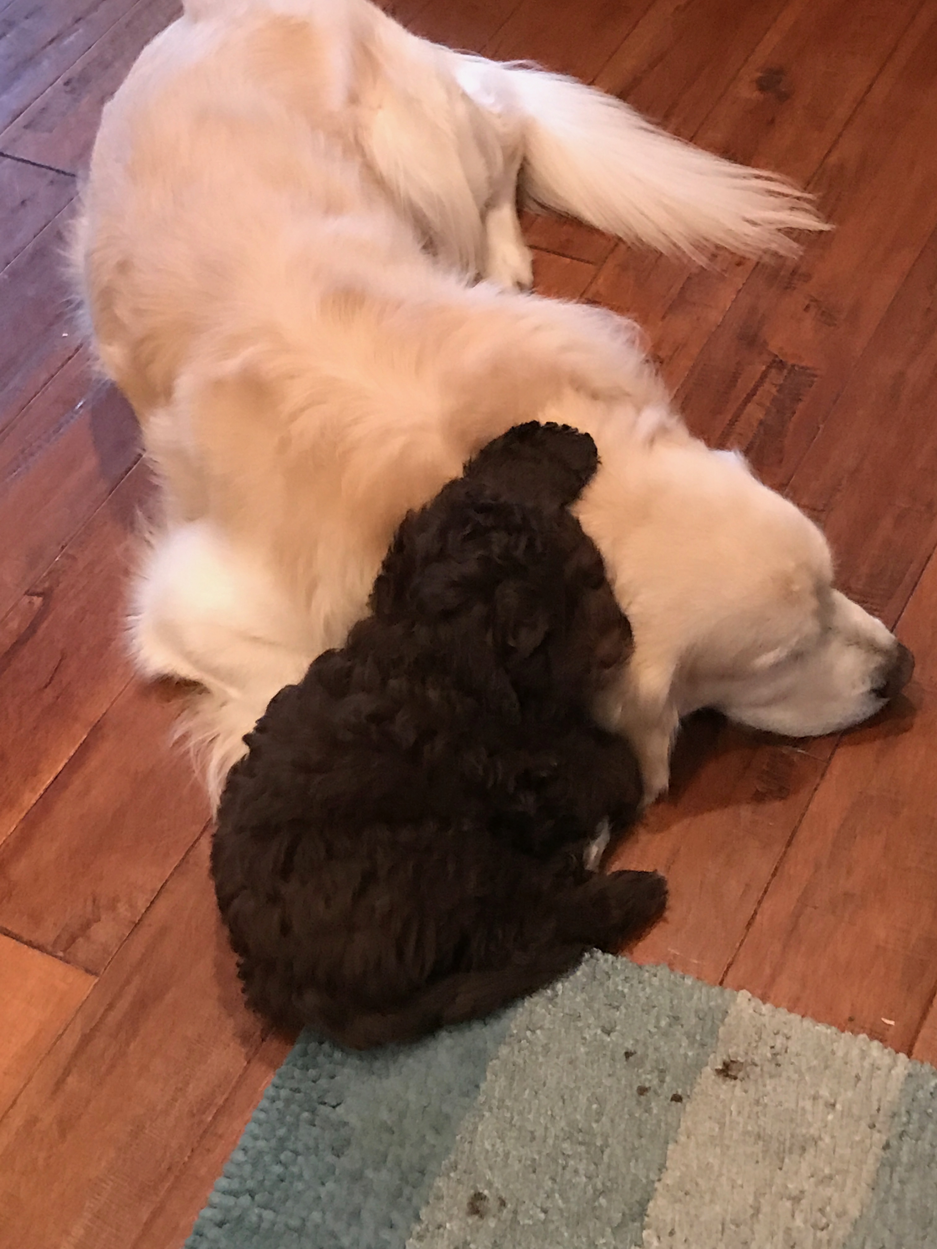 Snuggle Time