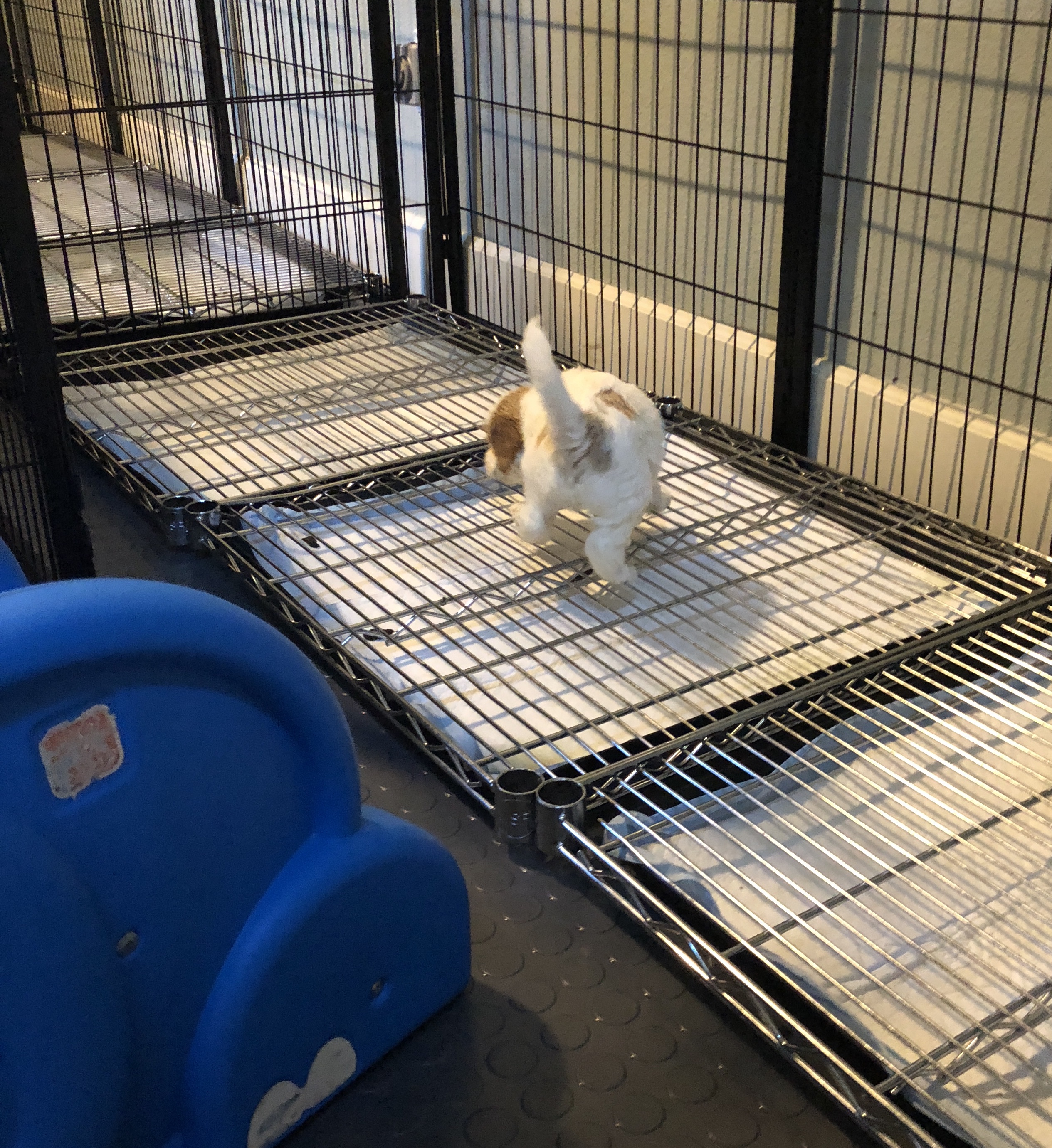 Checking out the potty station