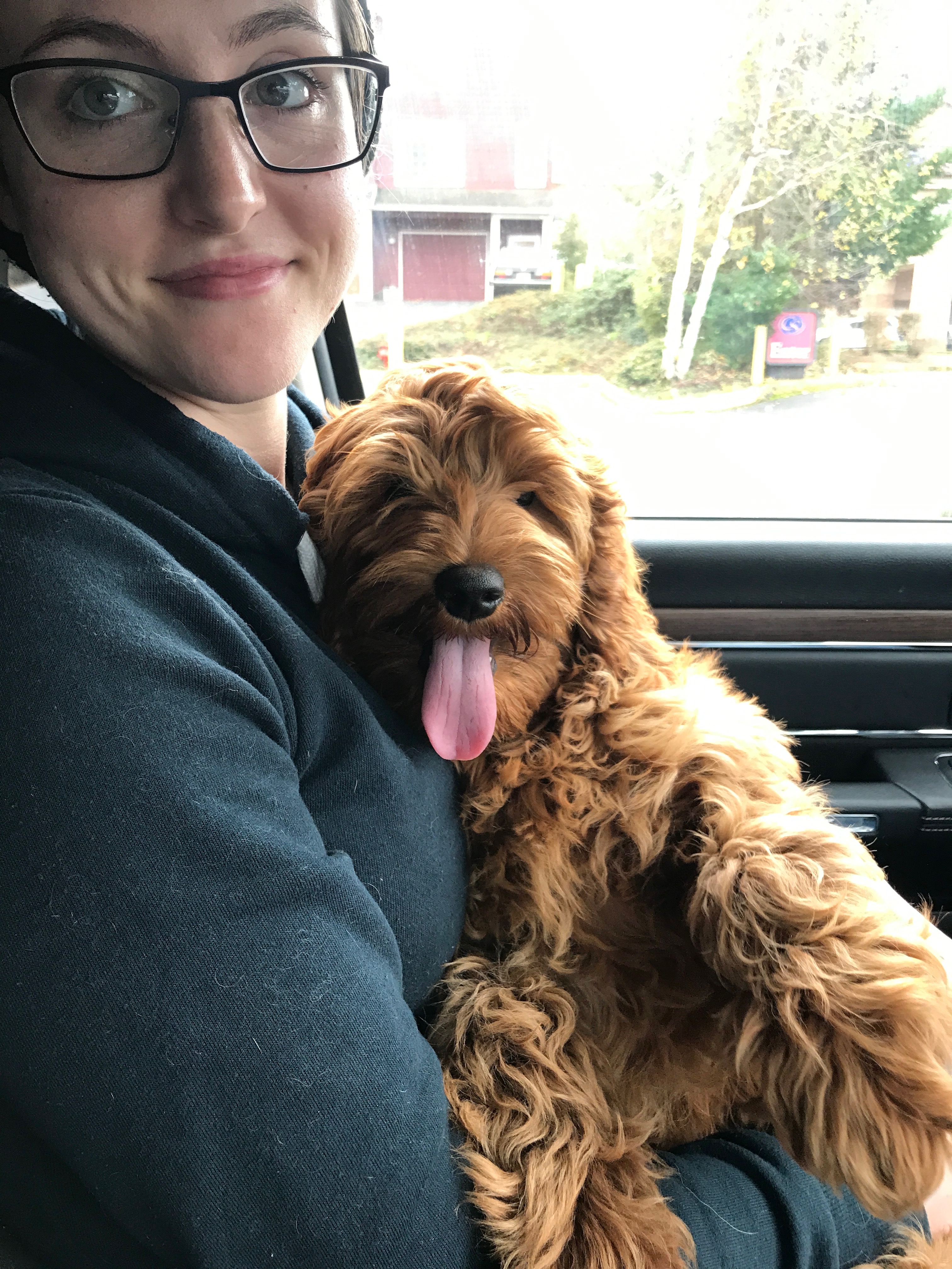 Snuggles