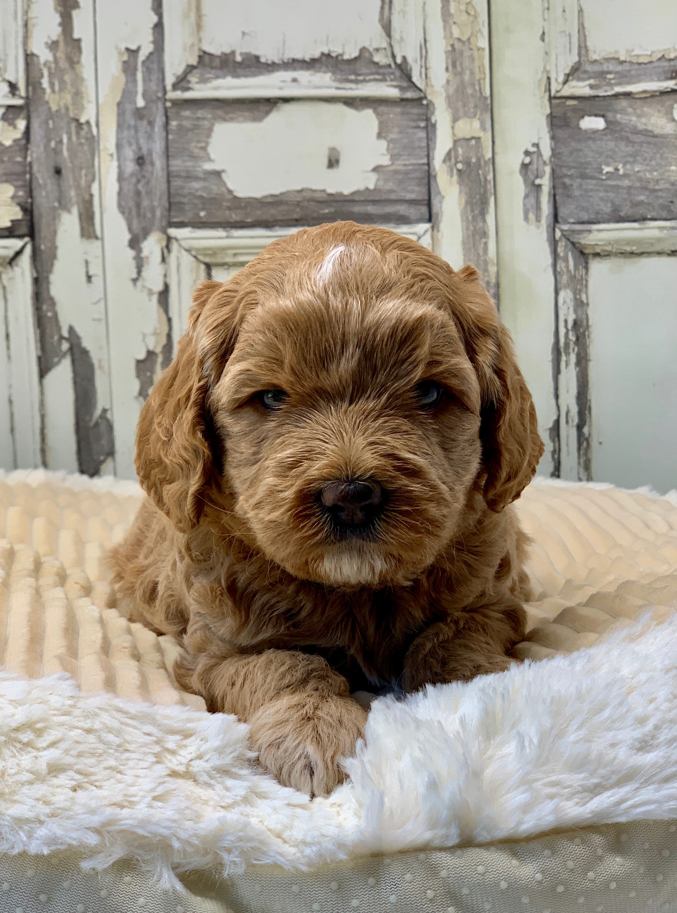 Look at this grumpy face!