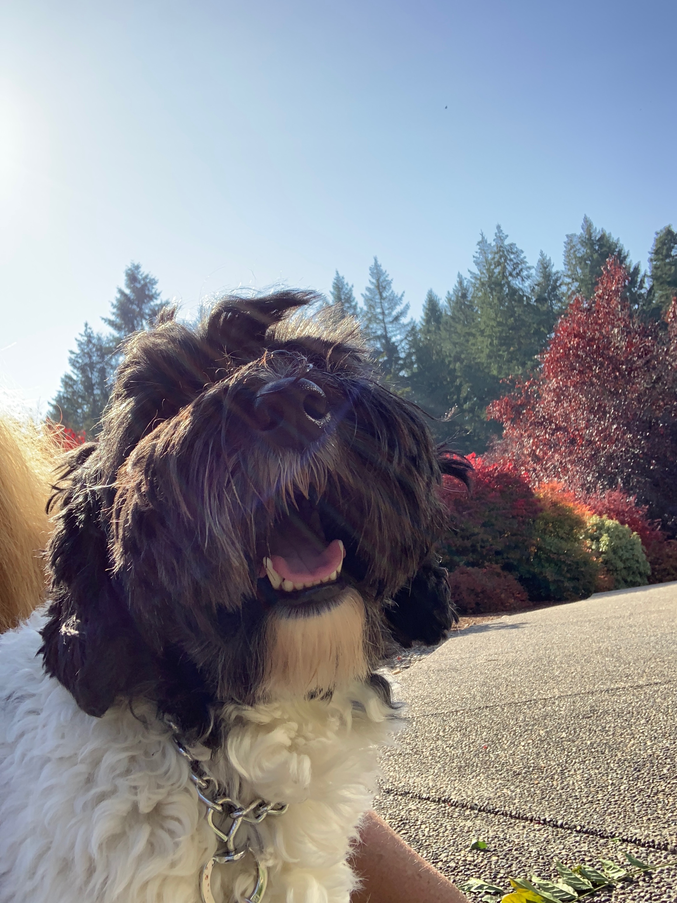 Fall Is In The Air