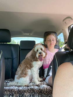 On the way to the vet