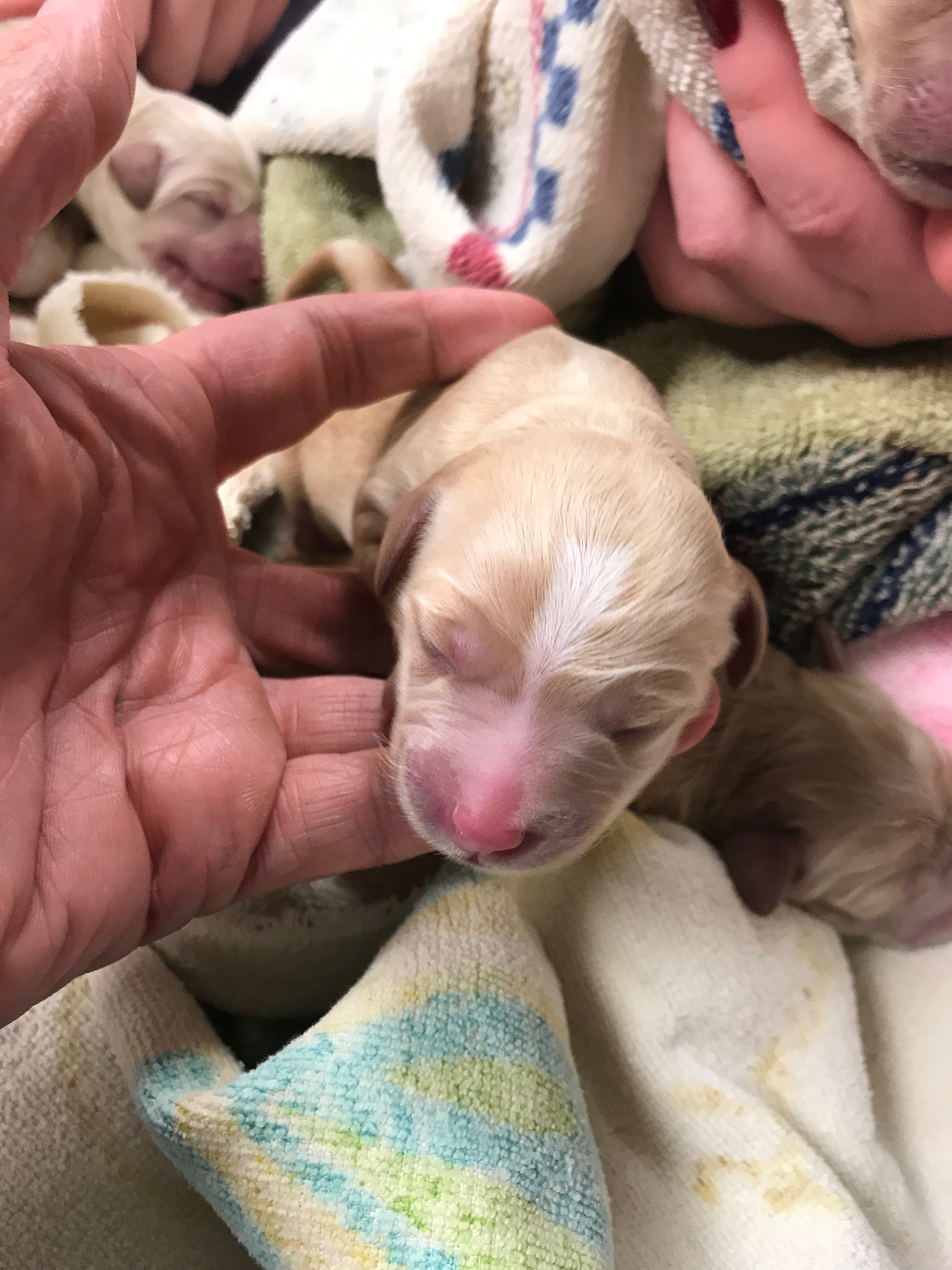 First moments
