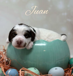 1710893284.099362-D1A92A2F-4137-42E6-8D1E-F23F753ACE9D