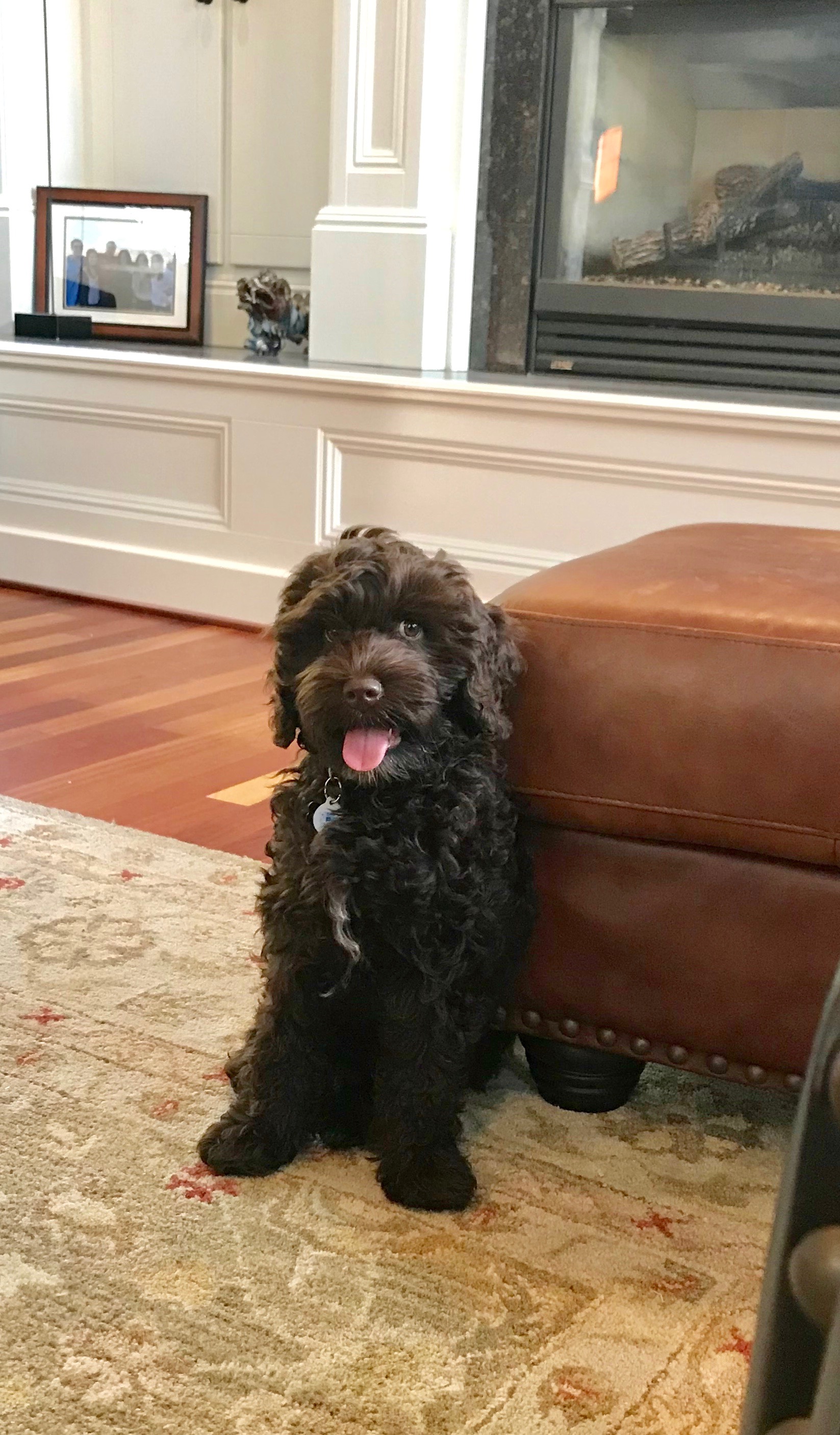 Mom calls me handsome!