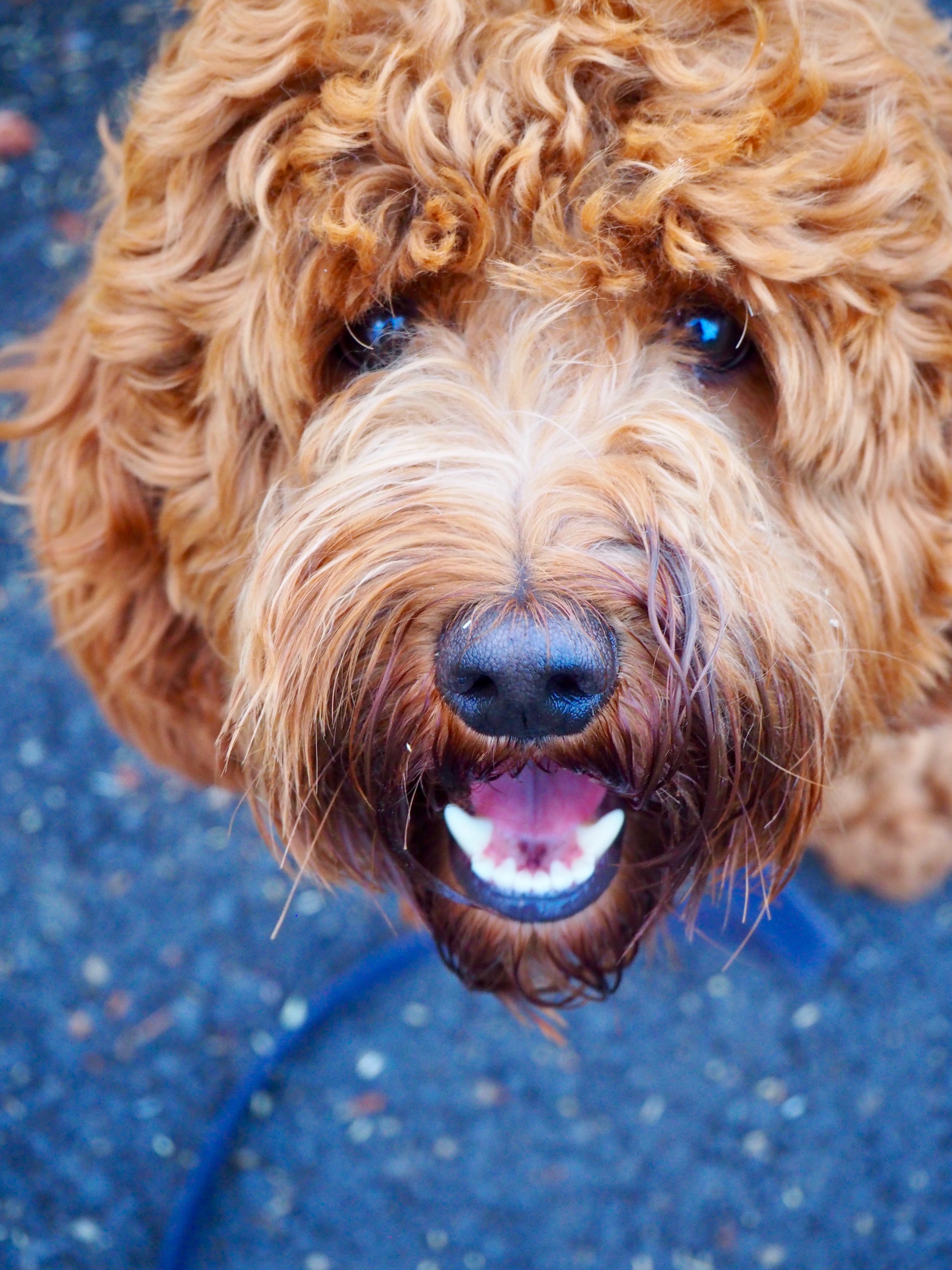 That face!