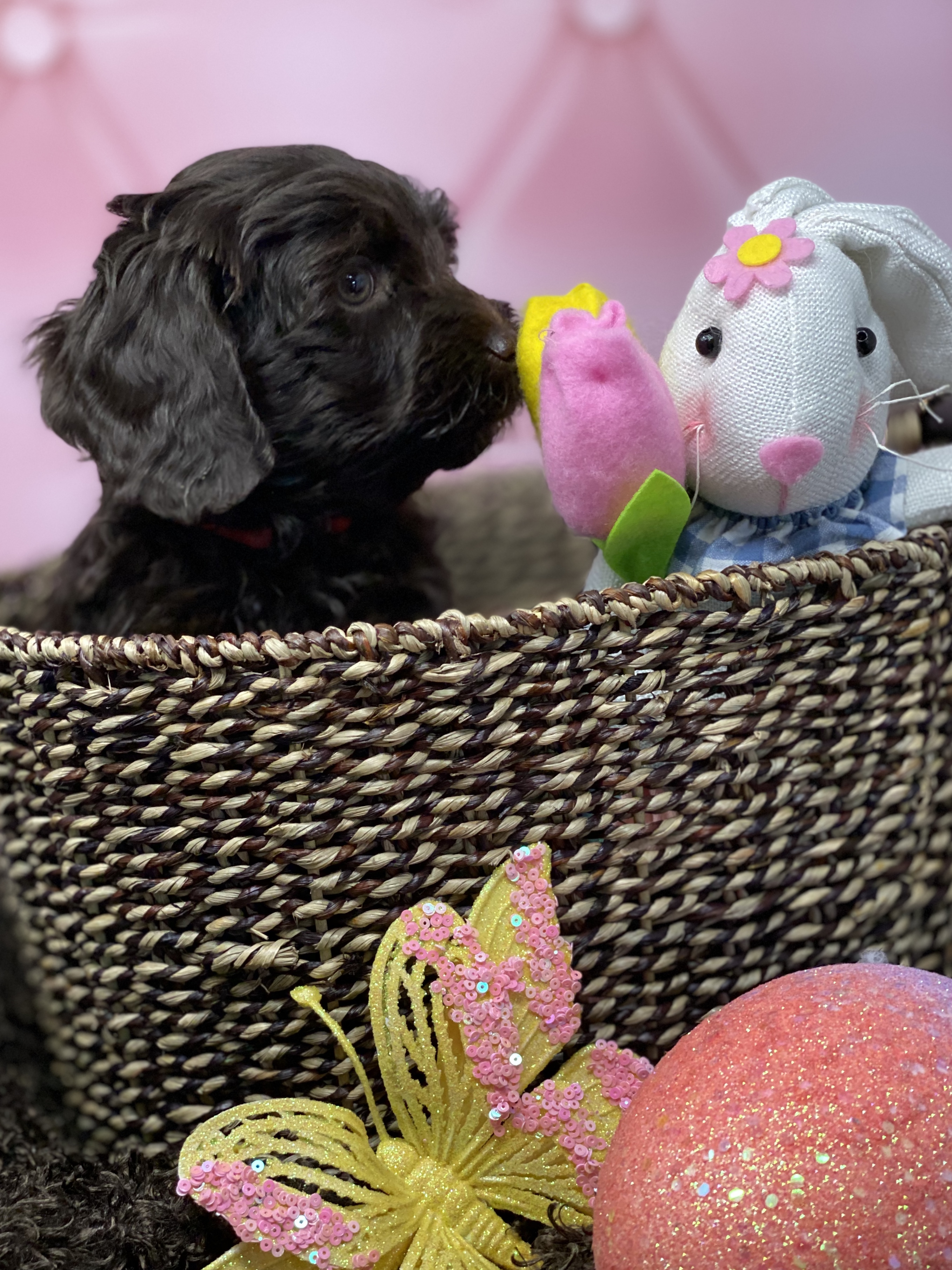 Truffles