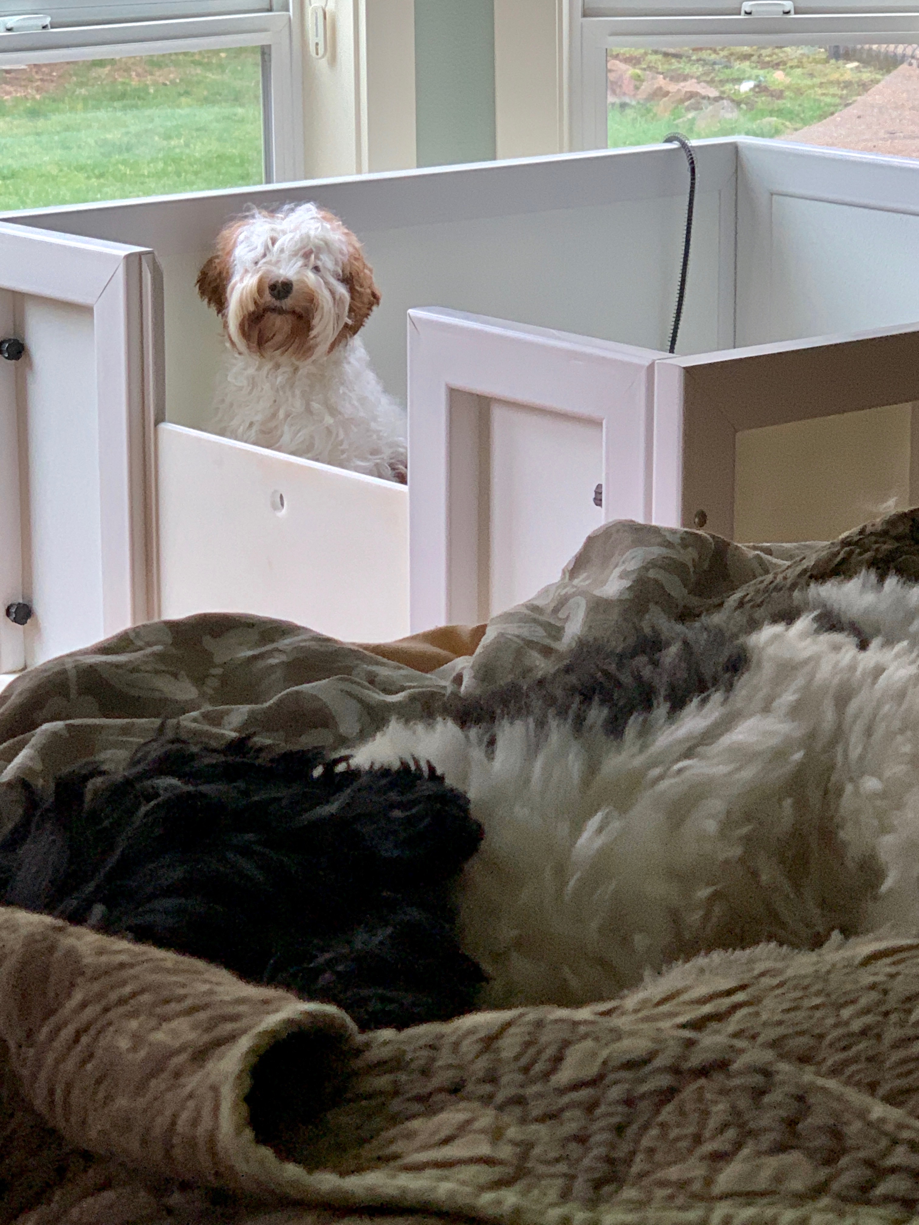 Moms do all the work! Look @ the bed
