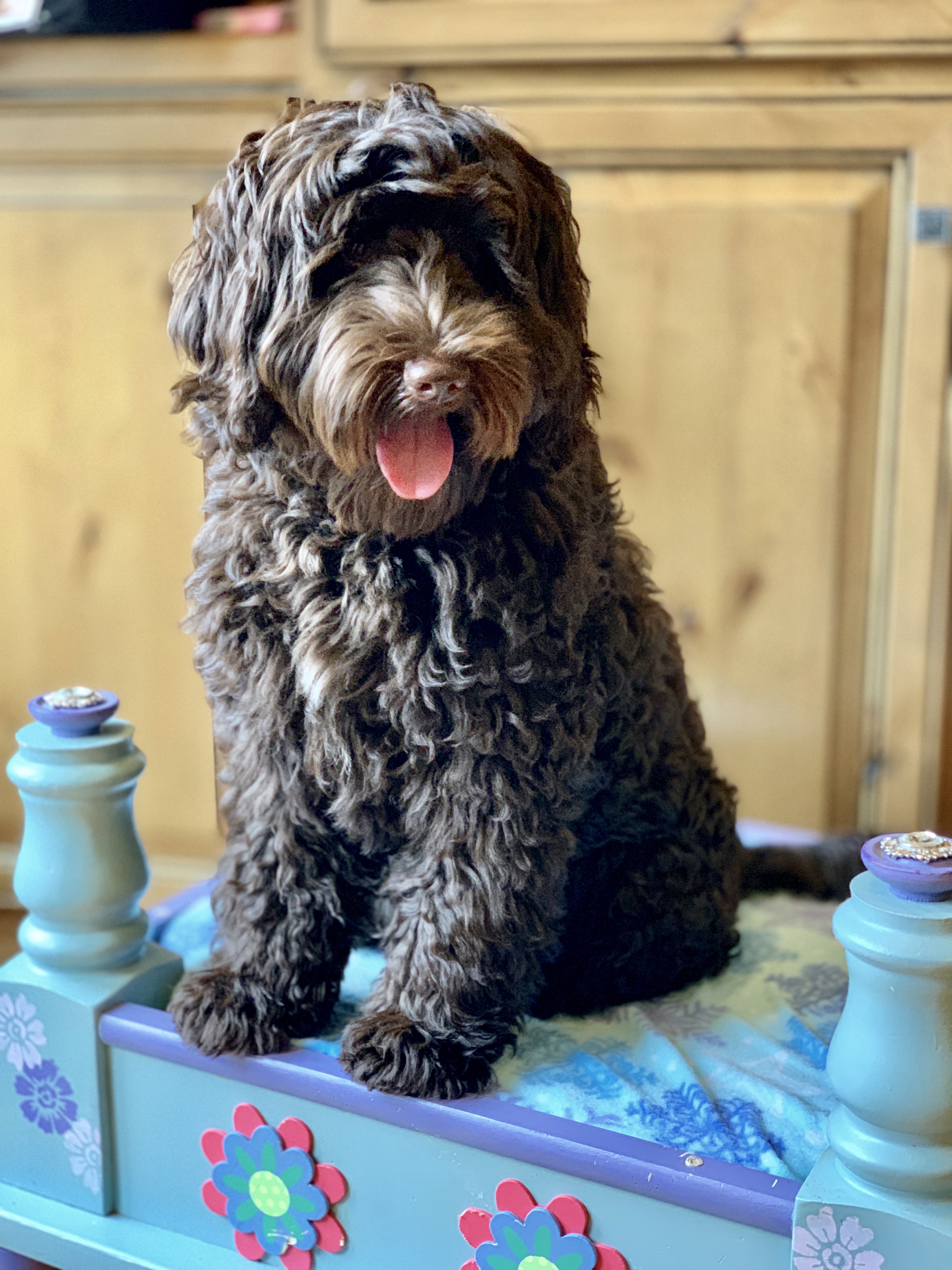 Coco