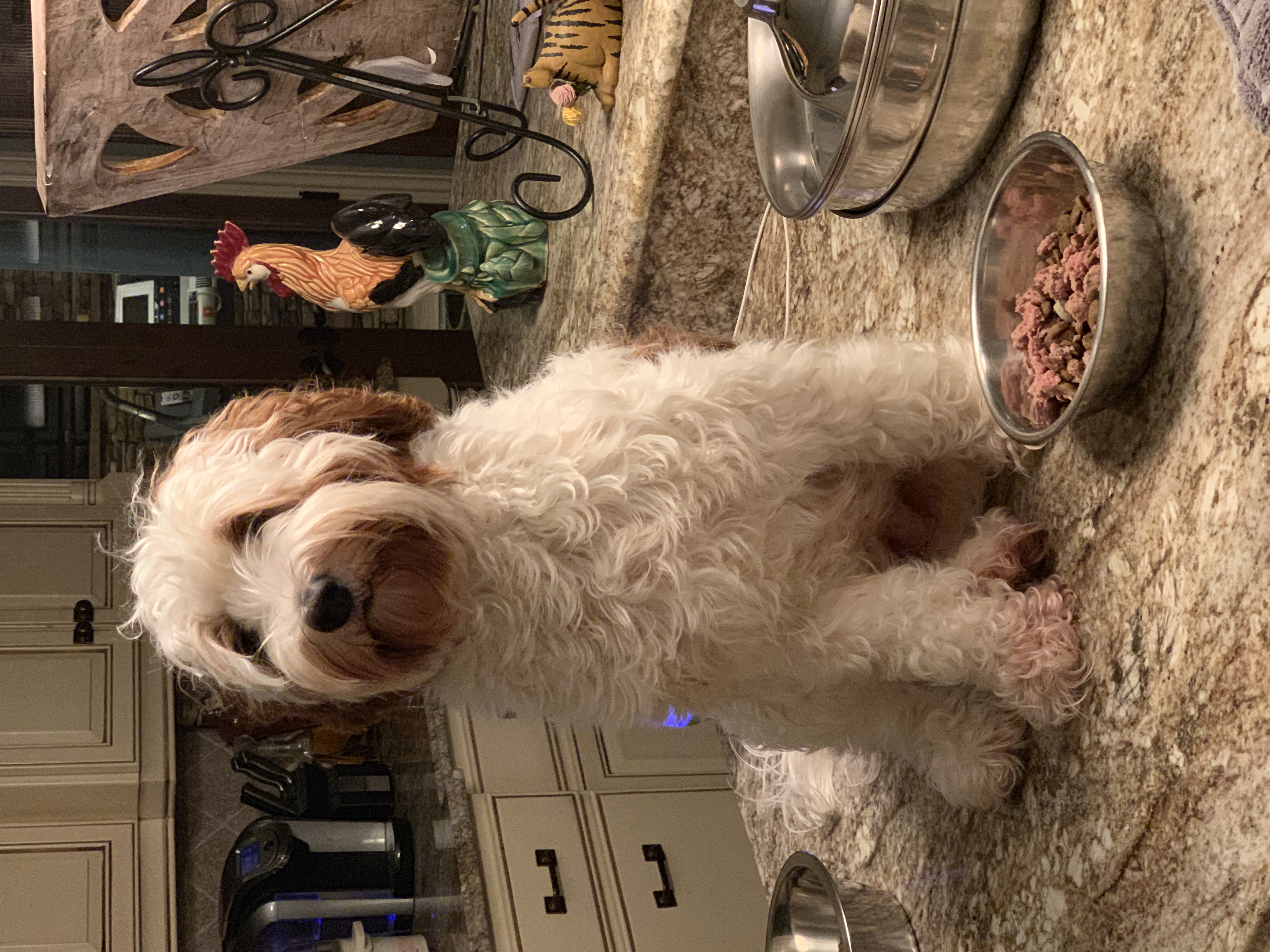 But I DON'T want to eat!