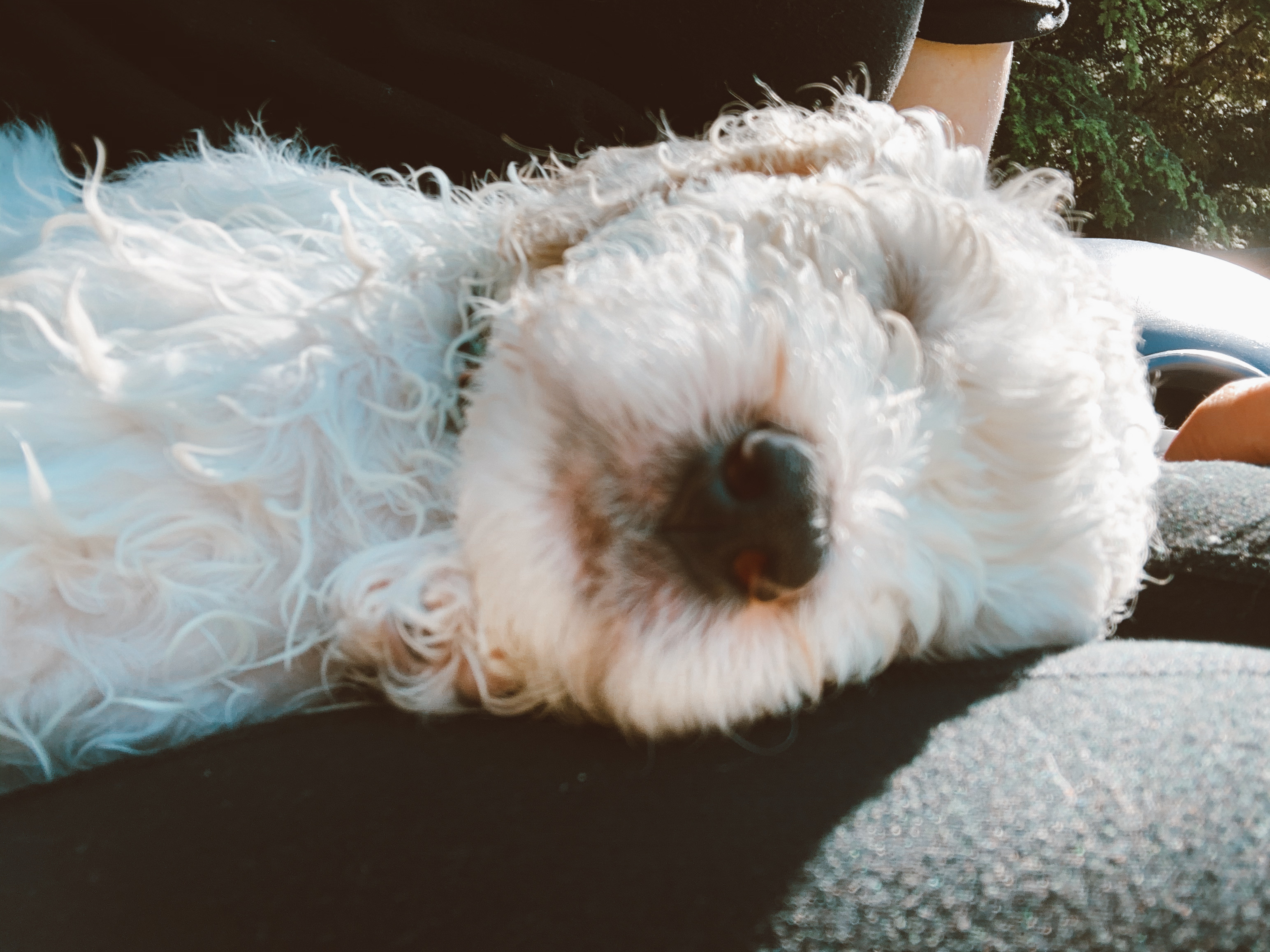 Playing is exhausting