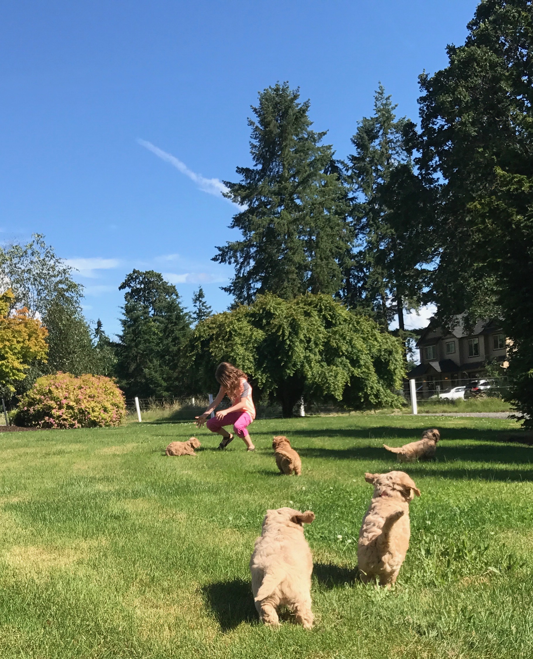 Playtime